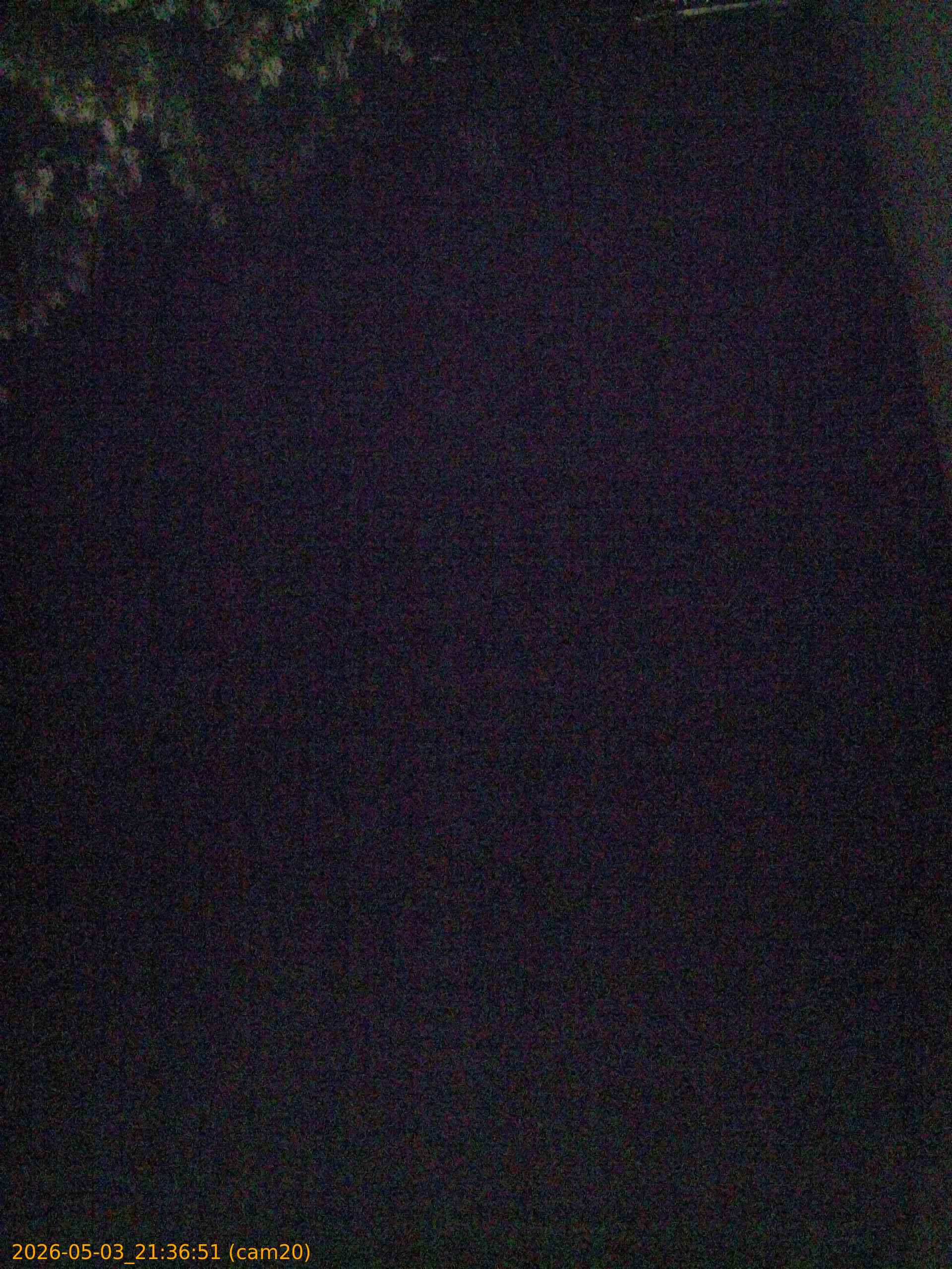 thumbnail_20260503213651