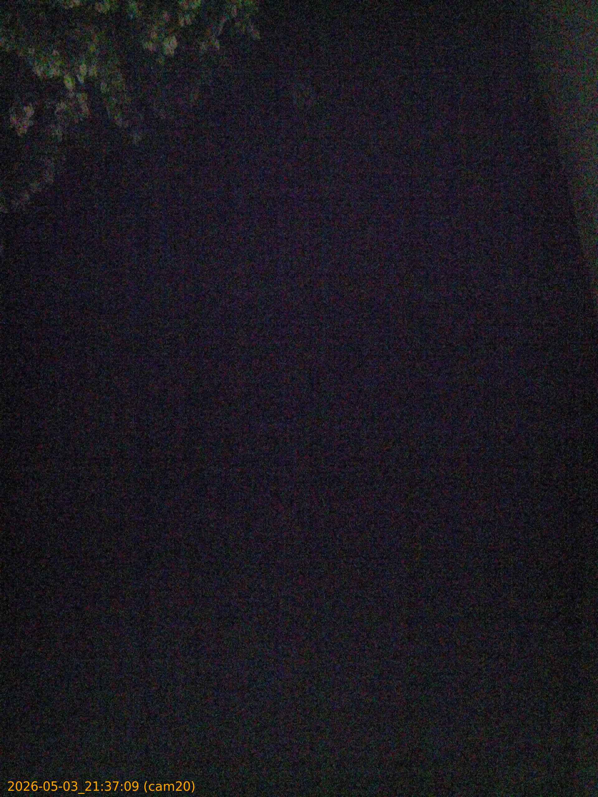 20260503213709