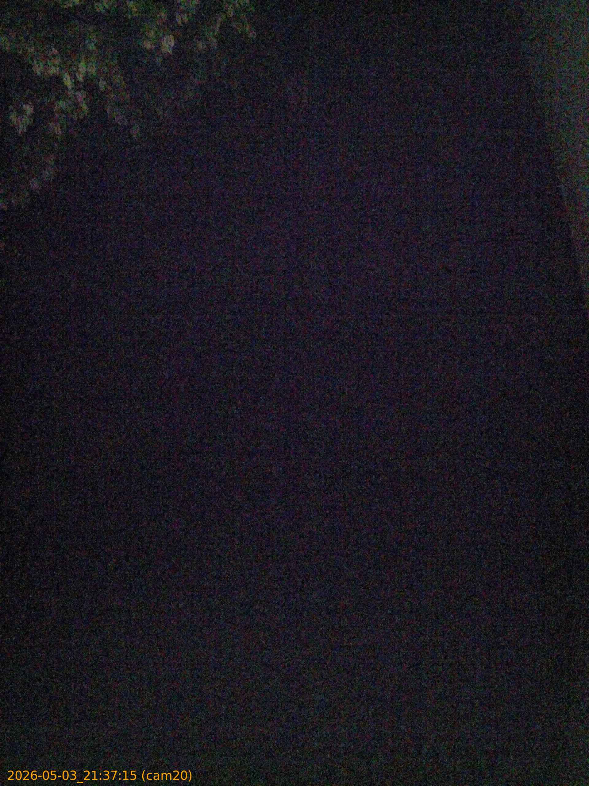 20260503213715