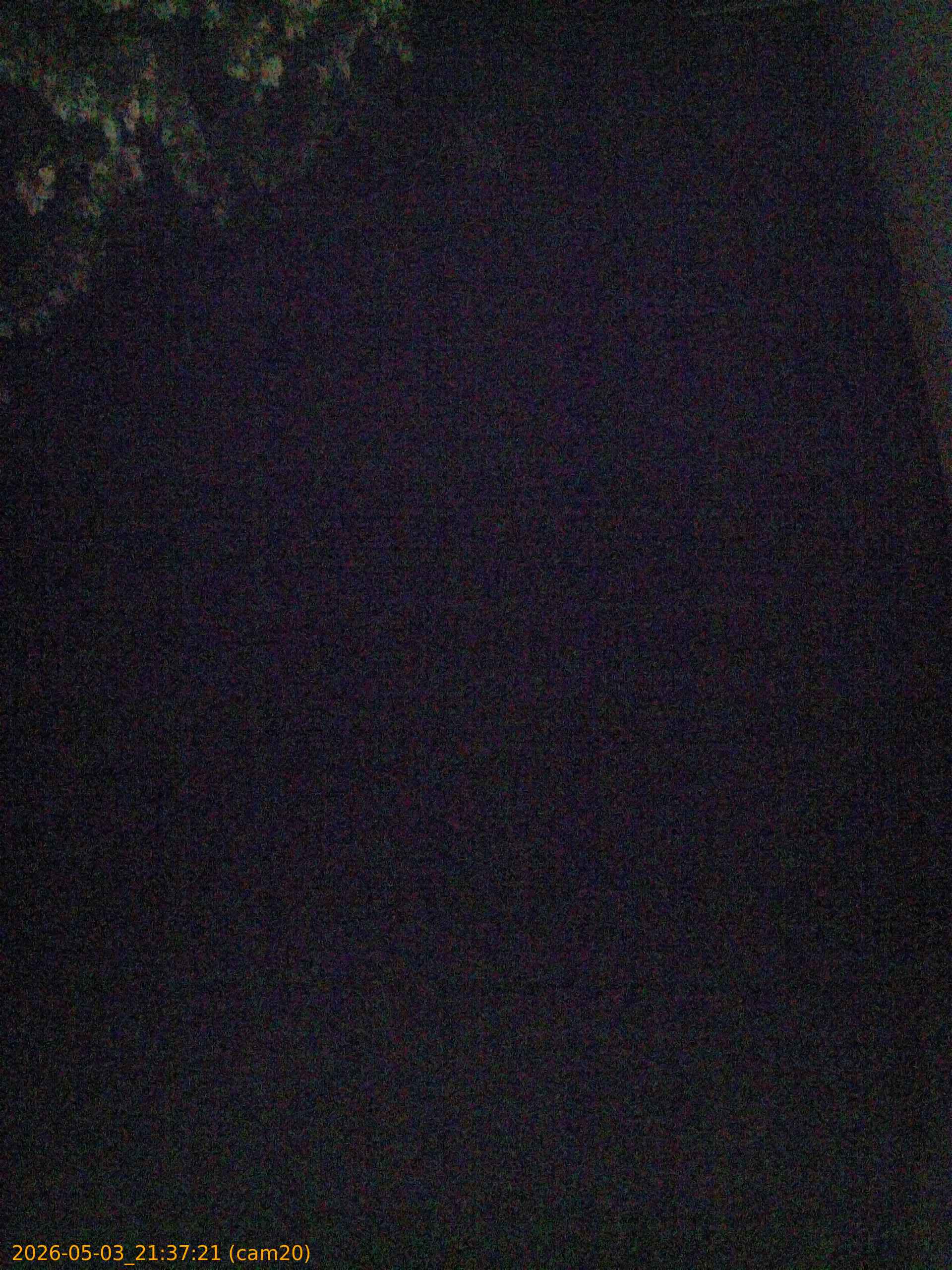 20260503213721