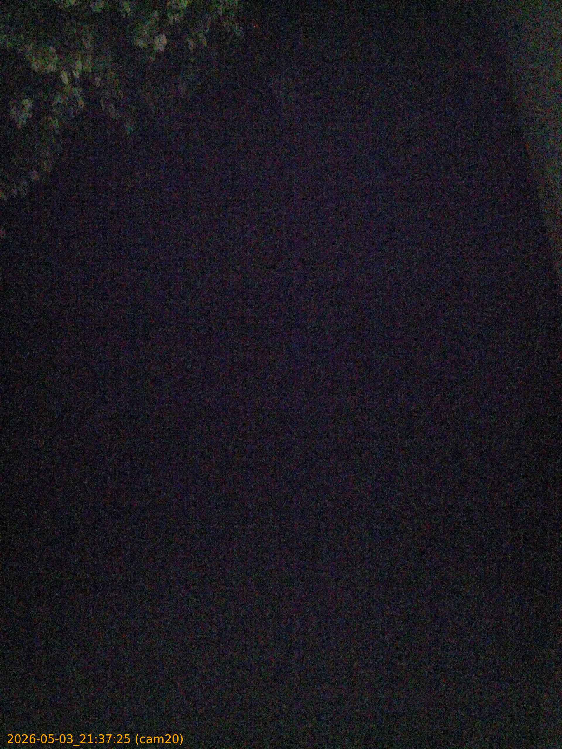 20260503213725