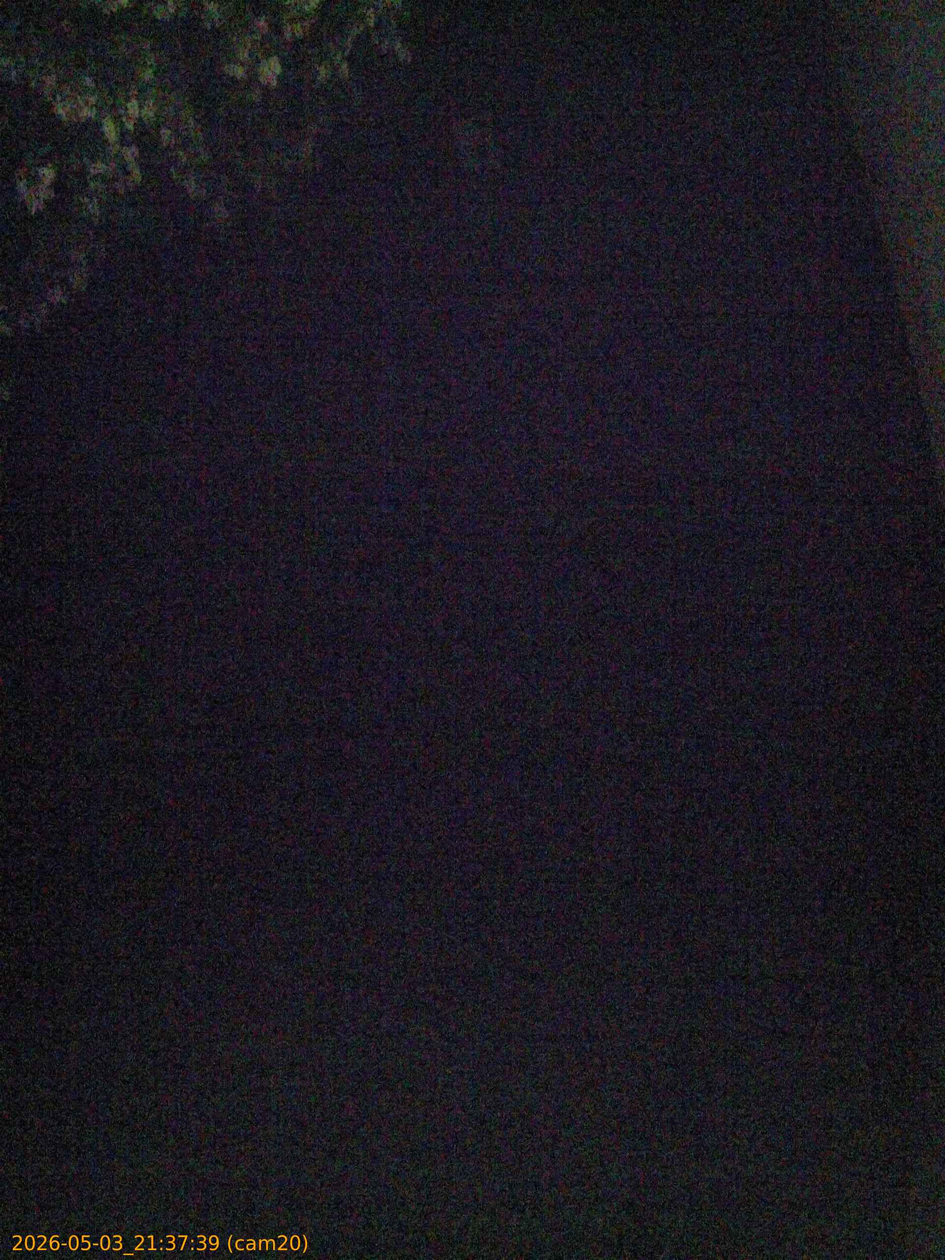 20260503213739