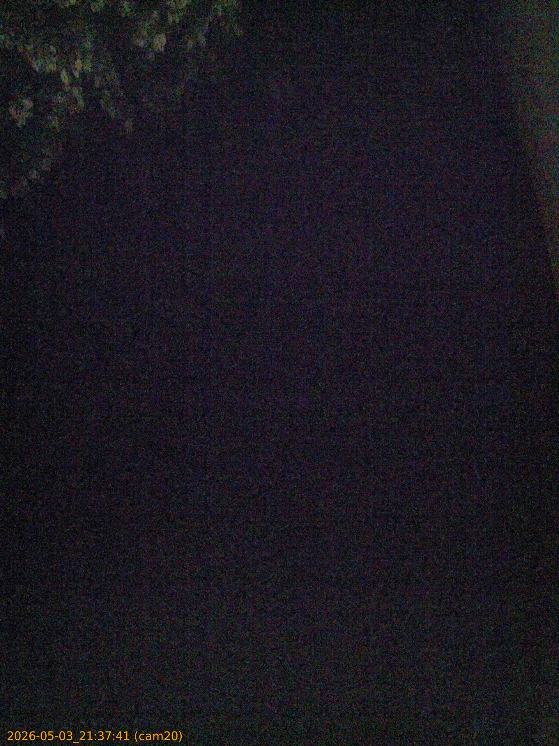 20260503213741