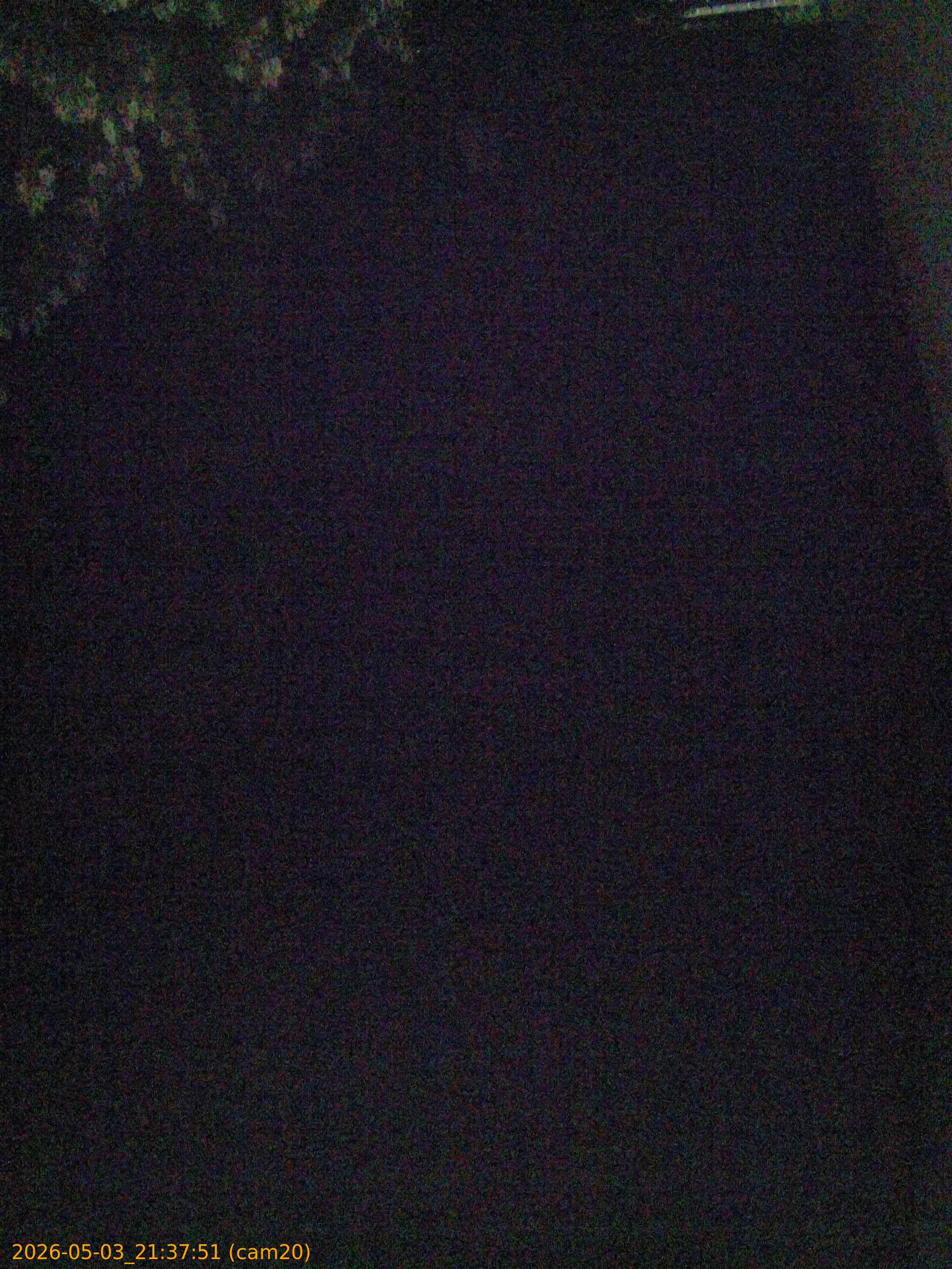 20260503213751