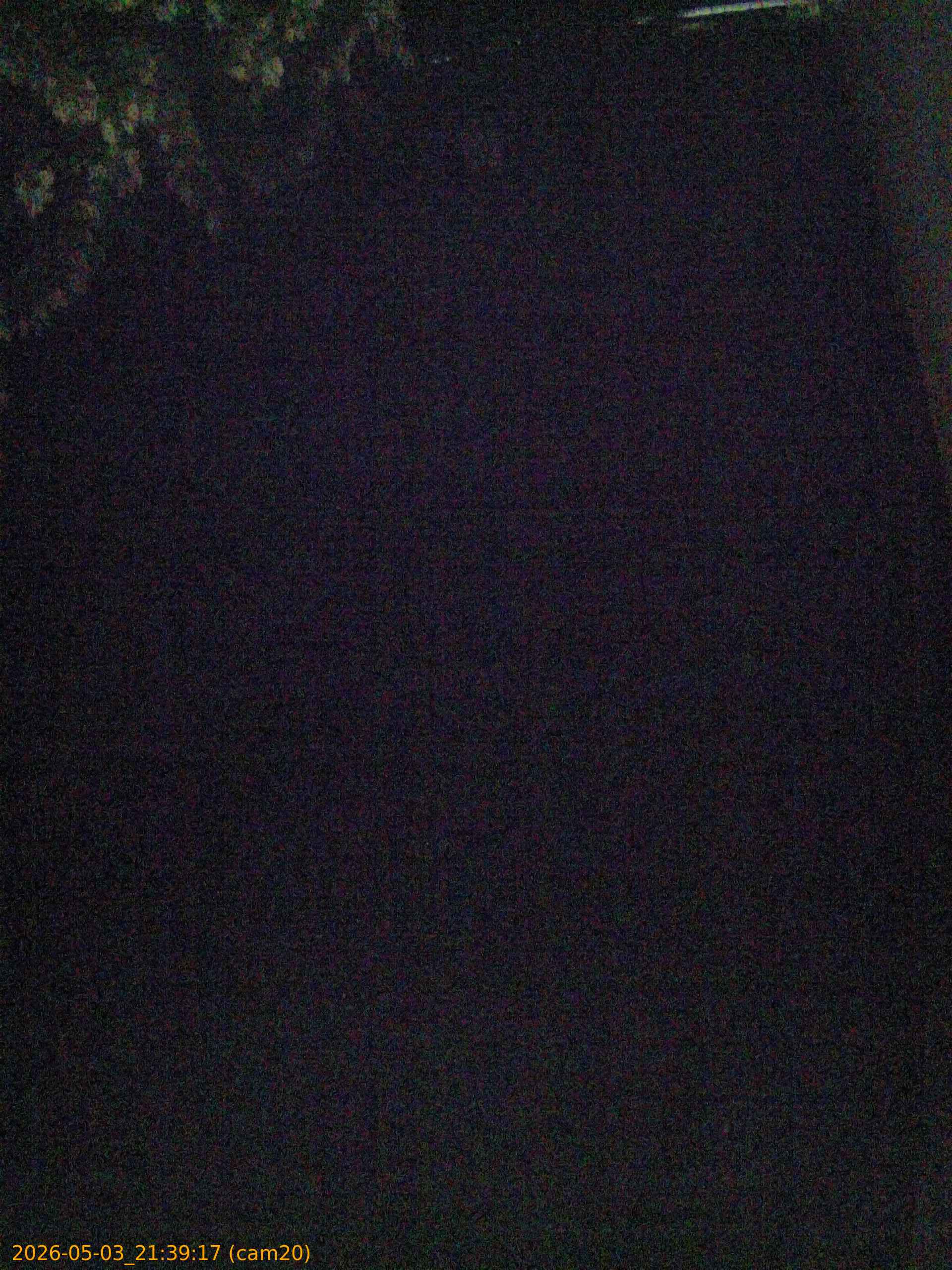 20260503213917