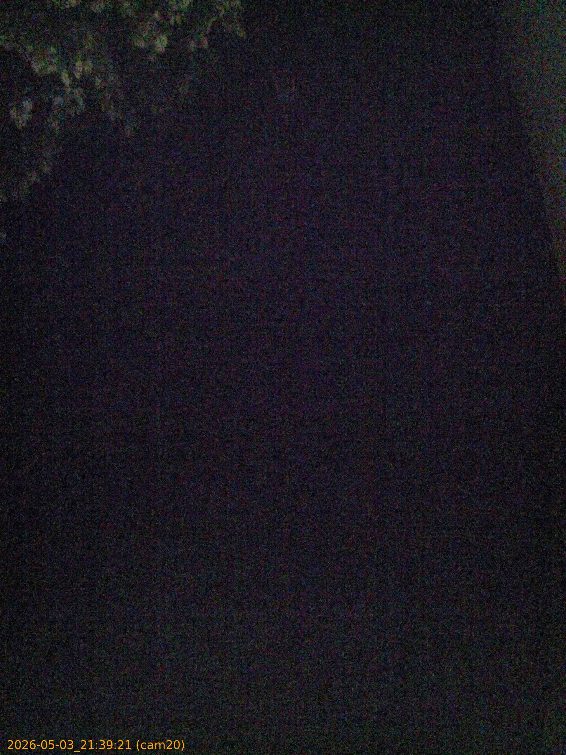20260503213921