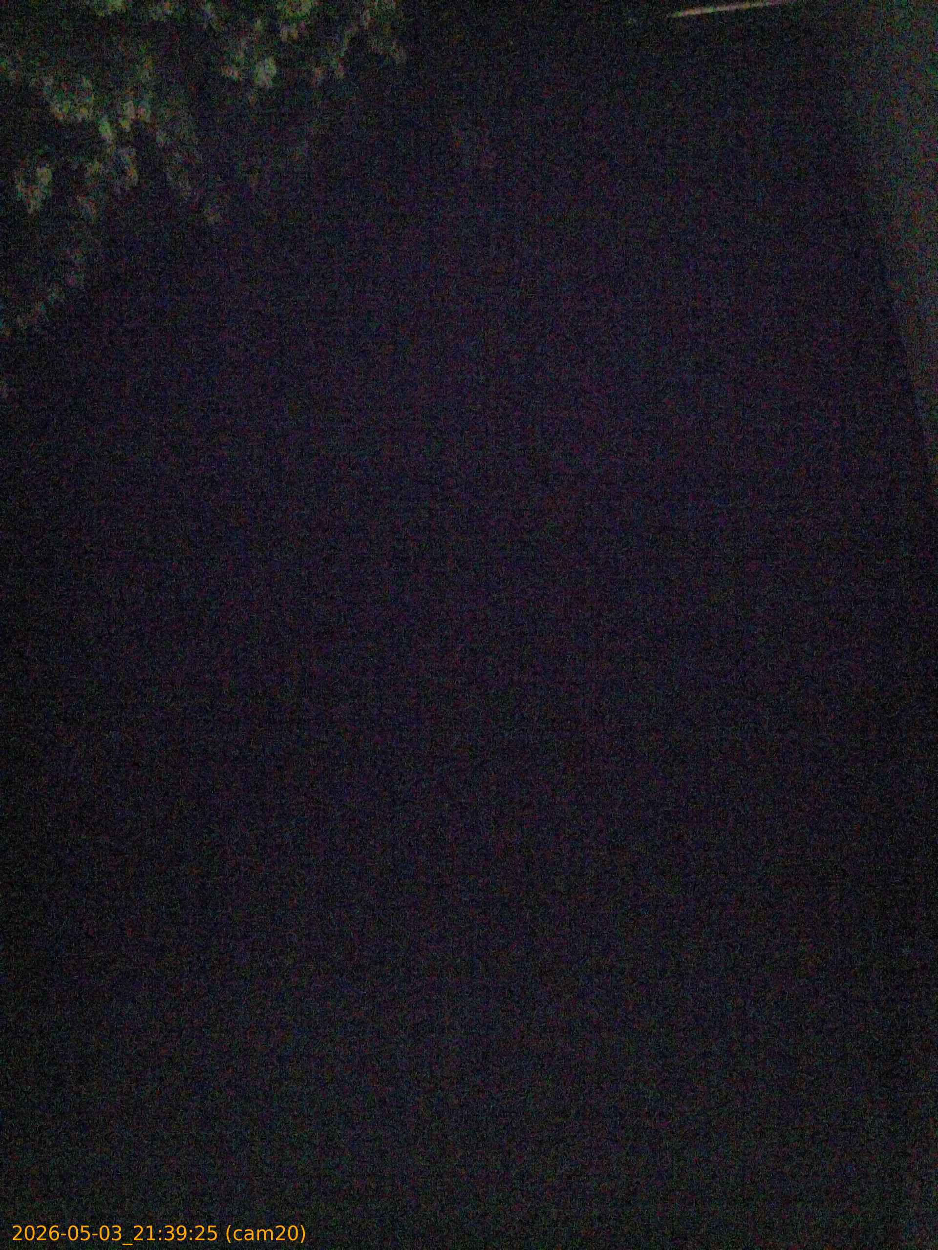 20260503213925