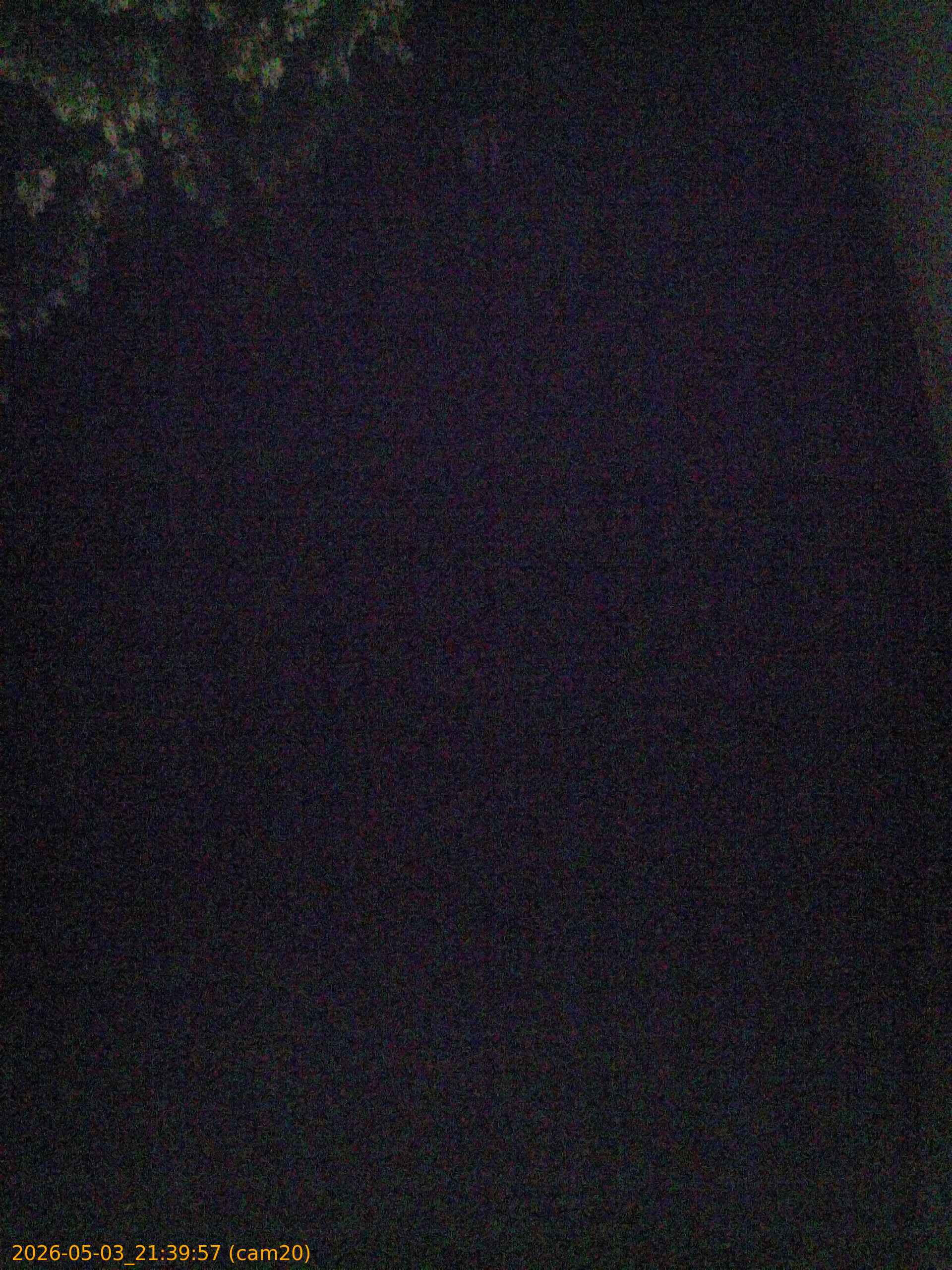 20260503213957