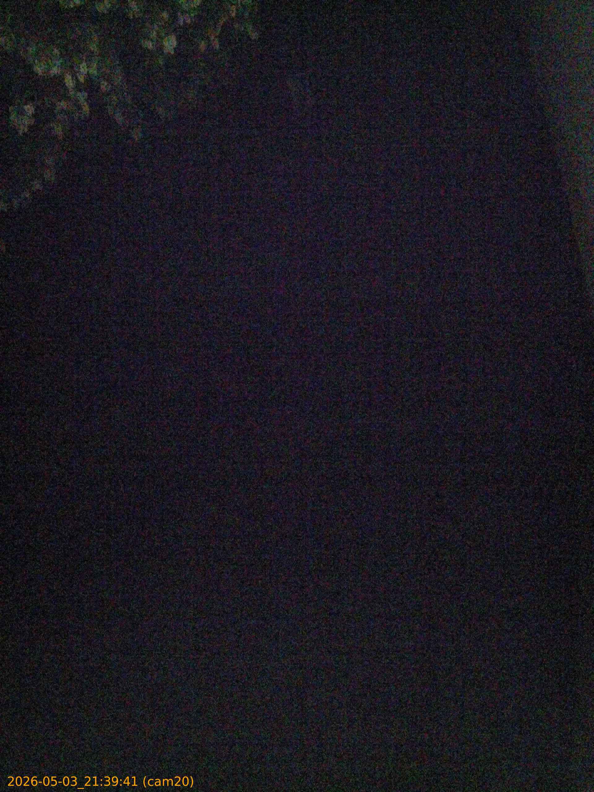 thumbnail_20260503213941
