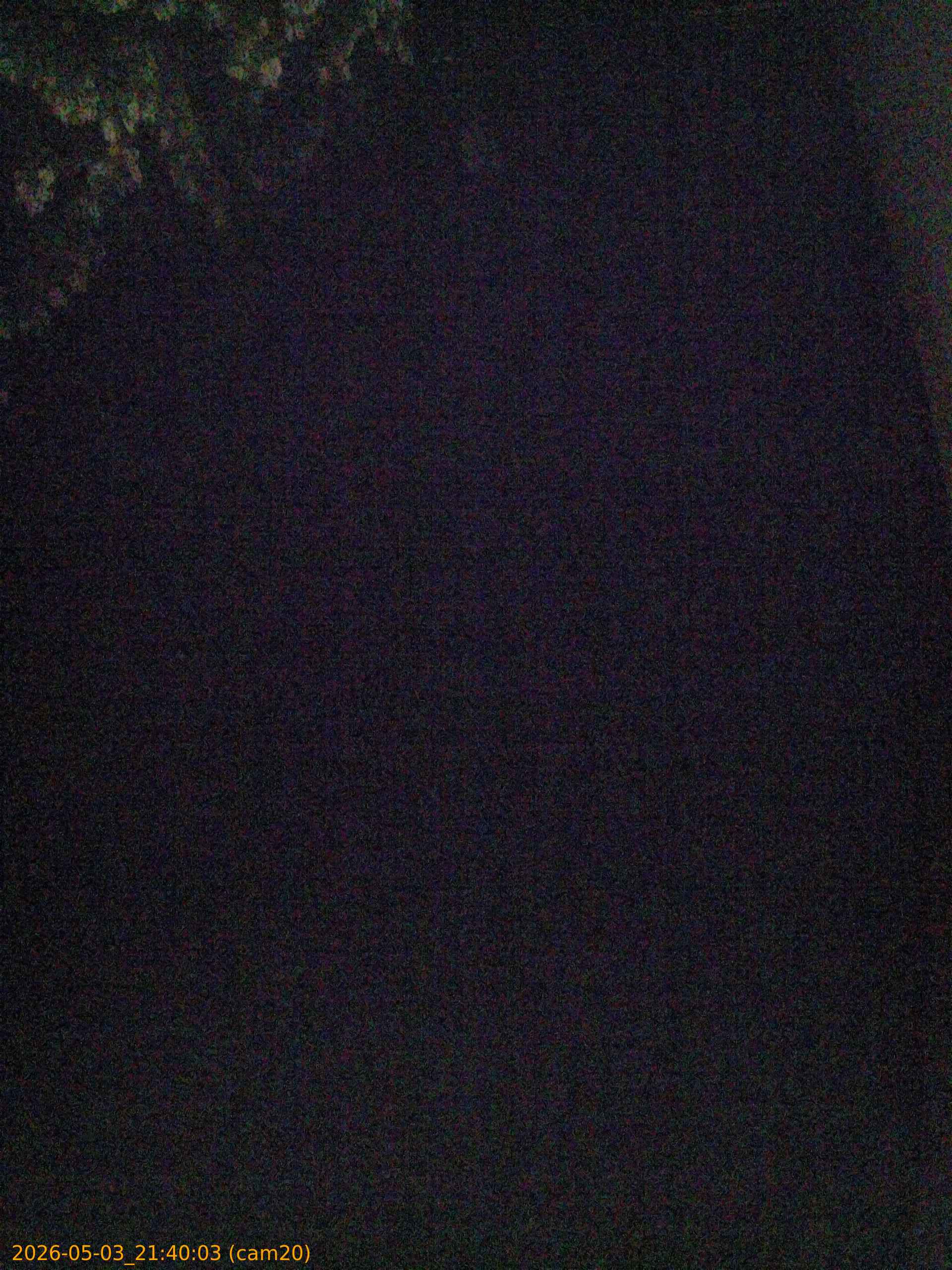 20260503214003