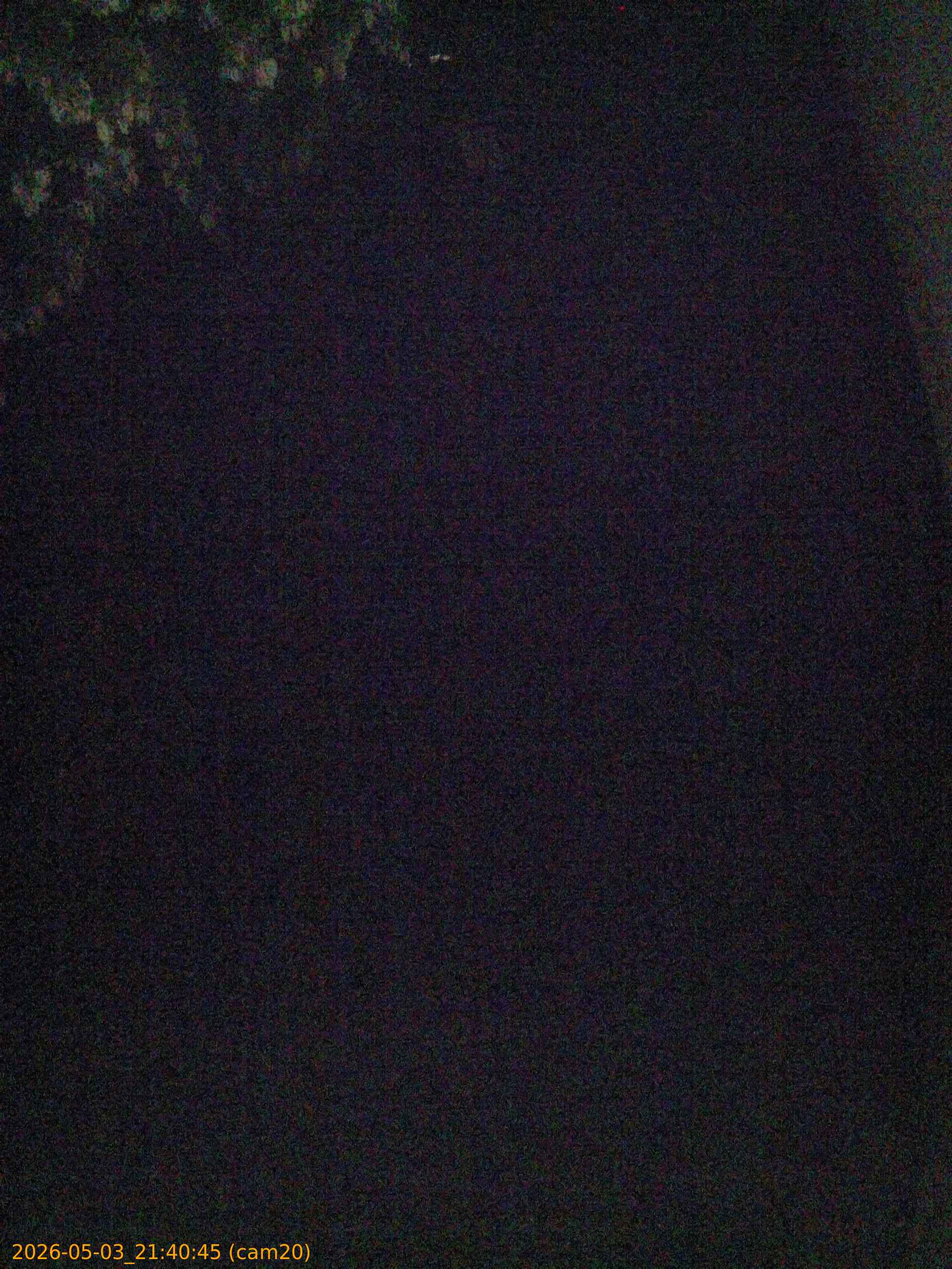 20260503214045