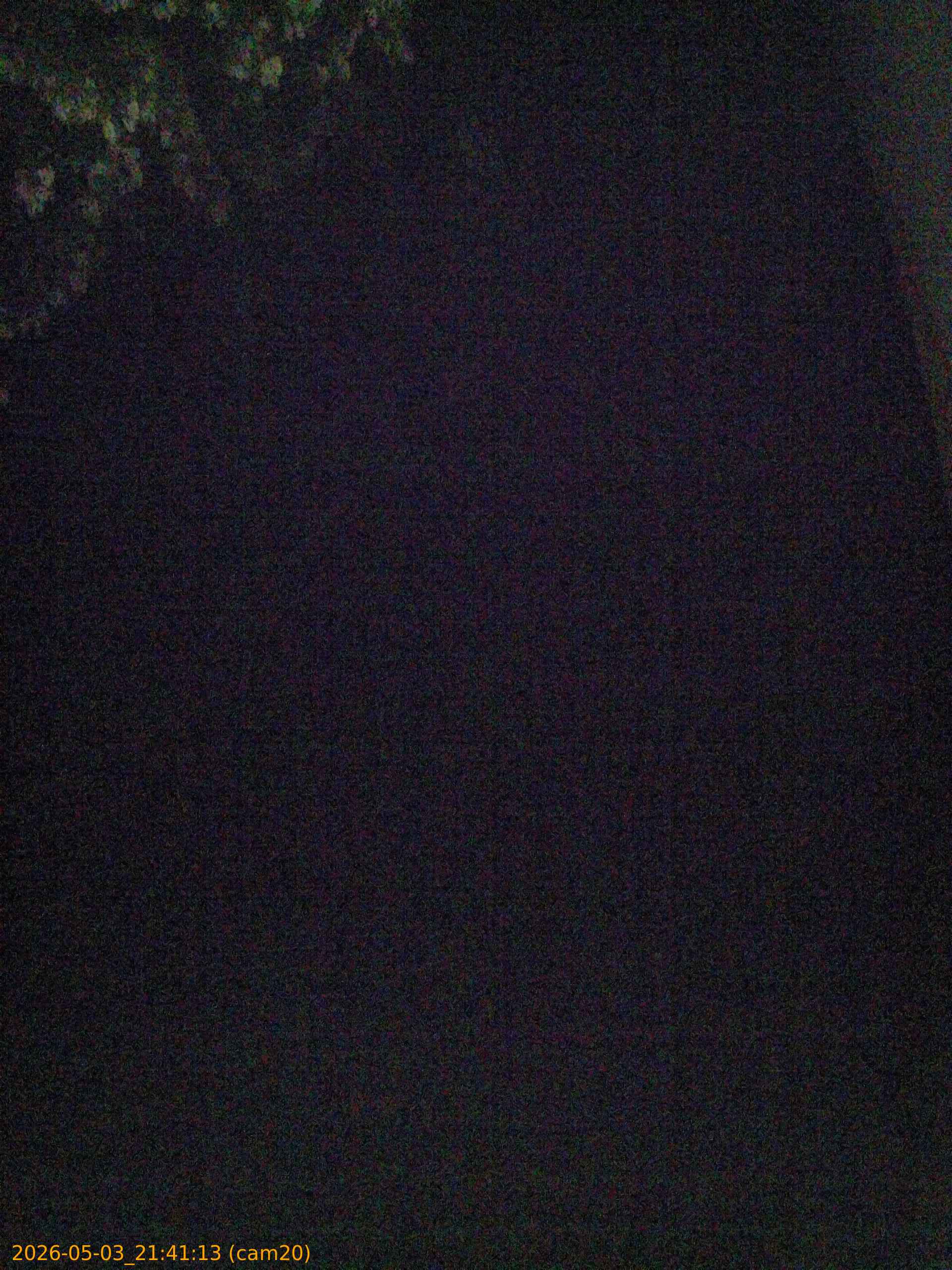 20260503214113