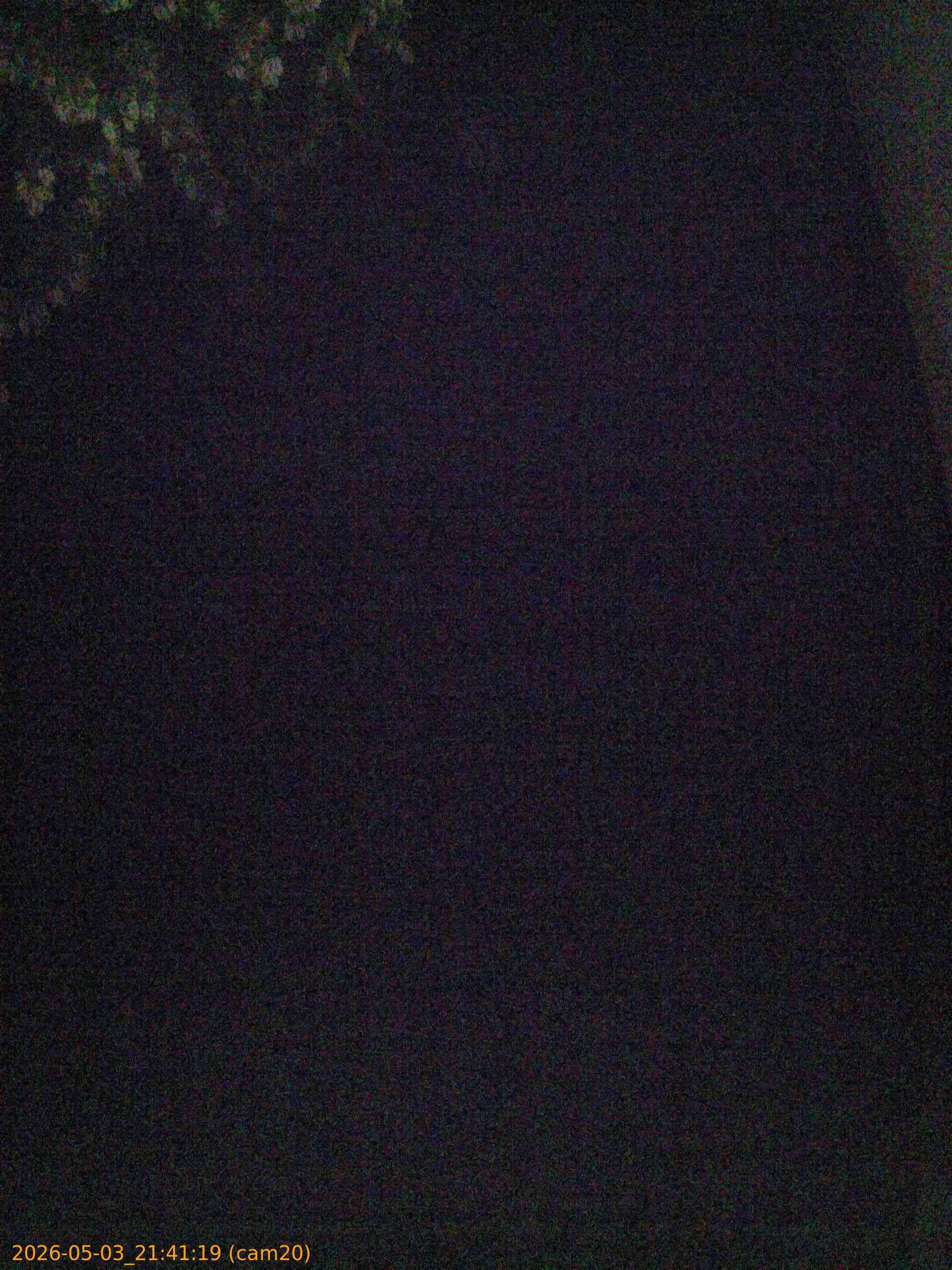 20260503214119