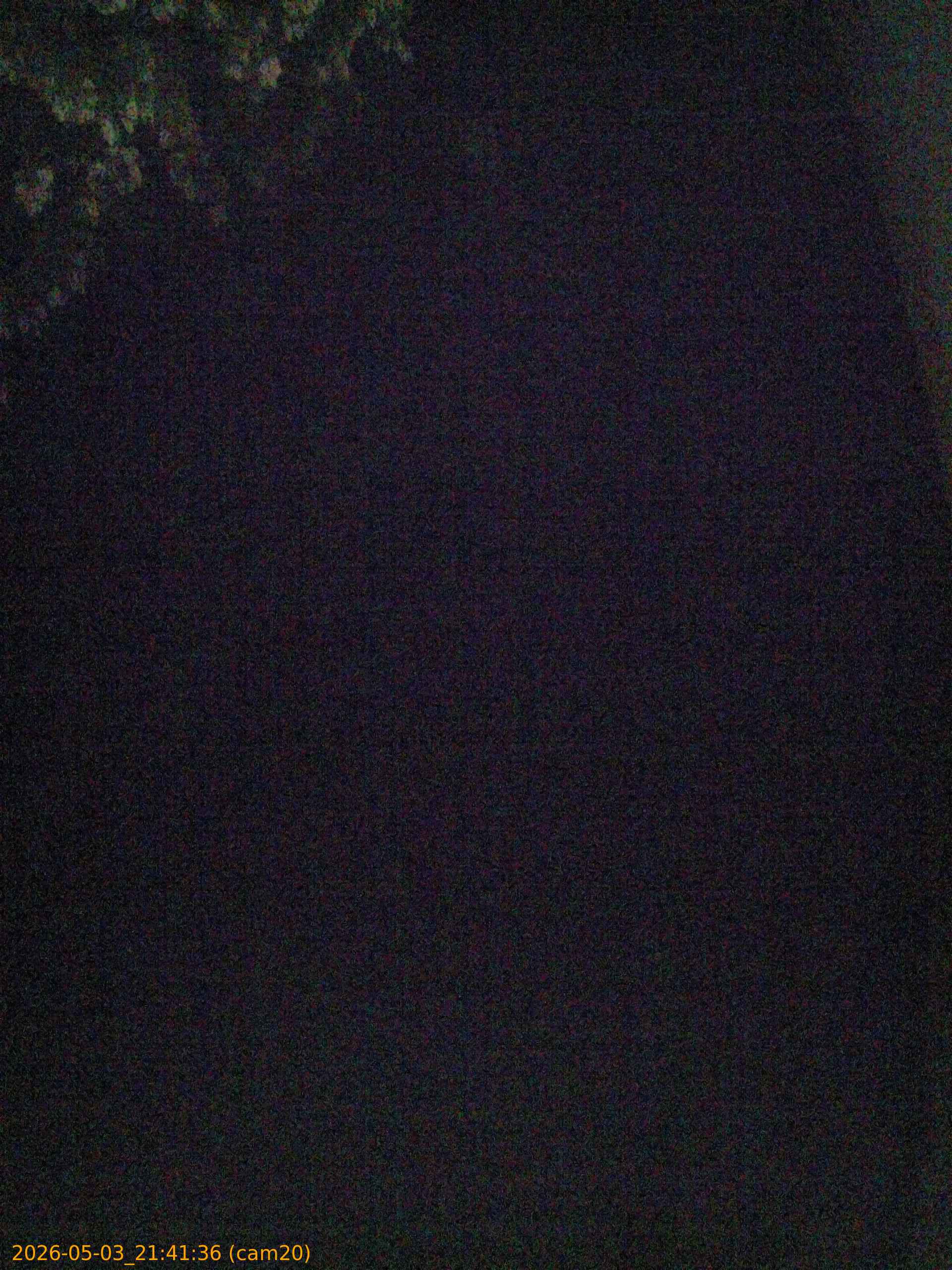 20260503214136