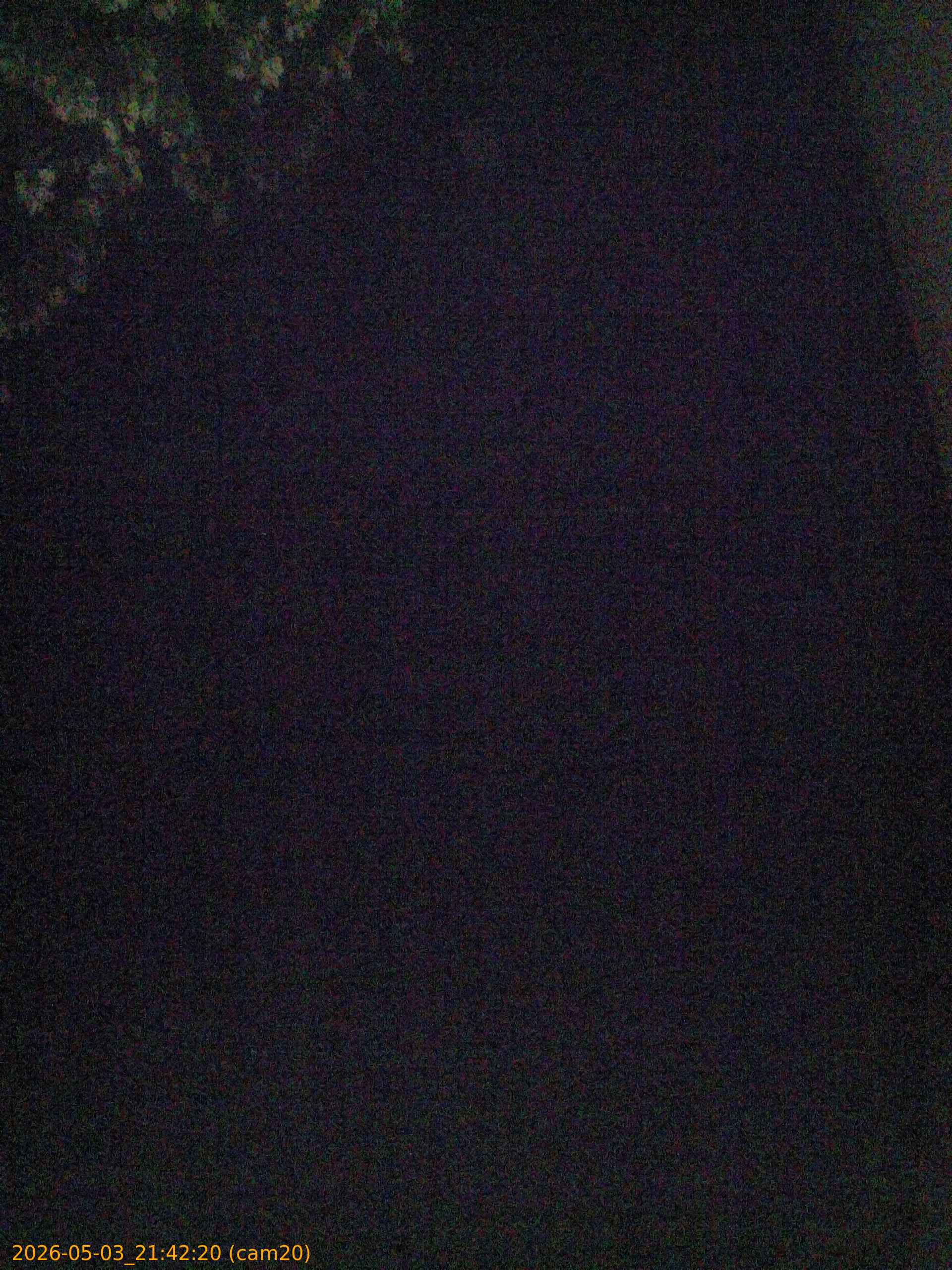 20260503214220