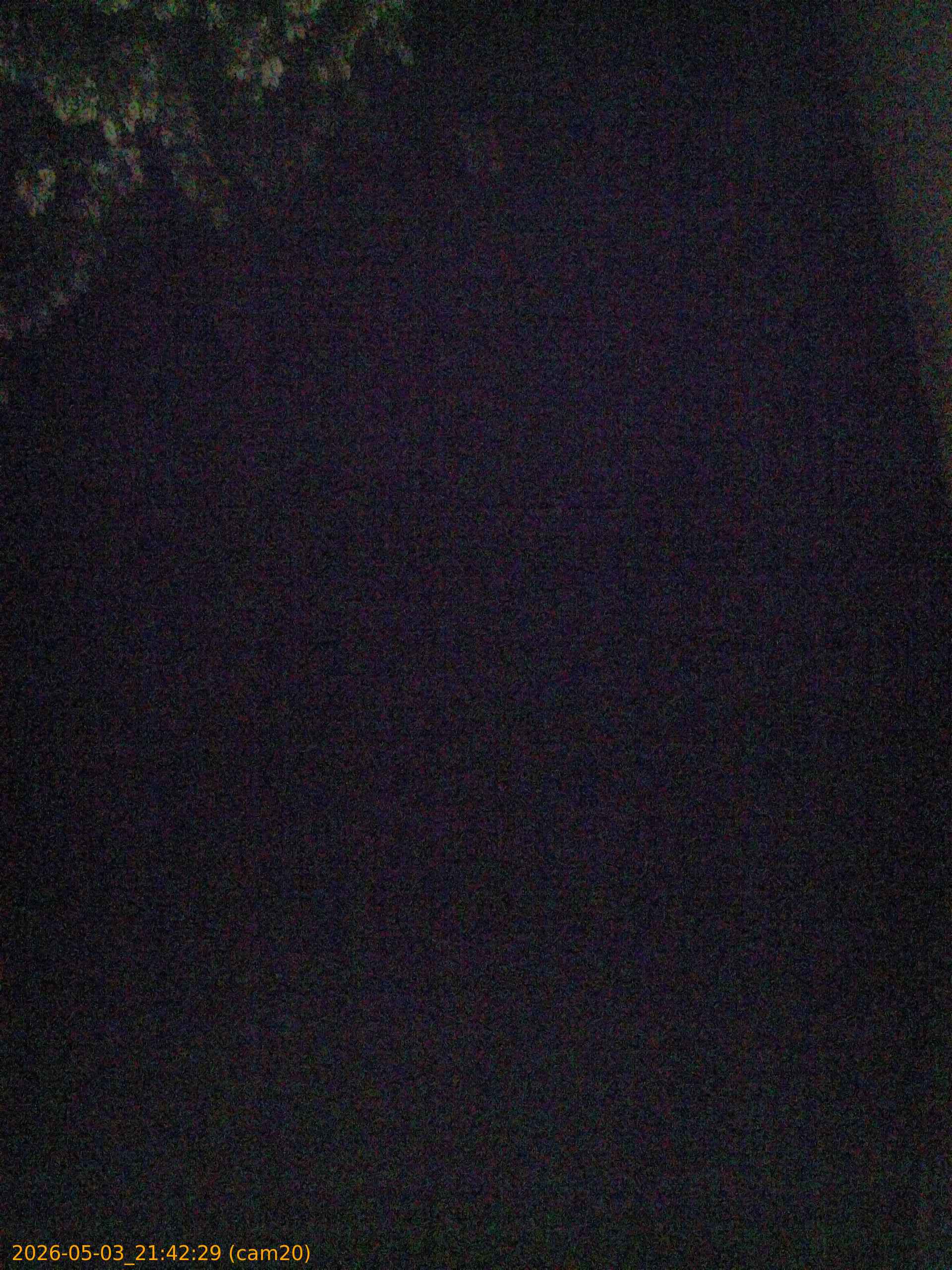 20260503214229