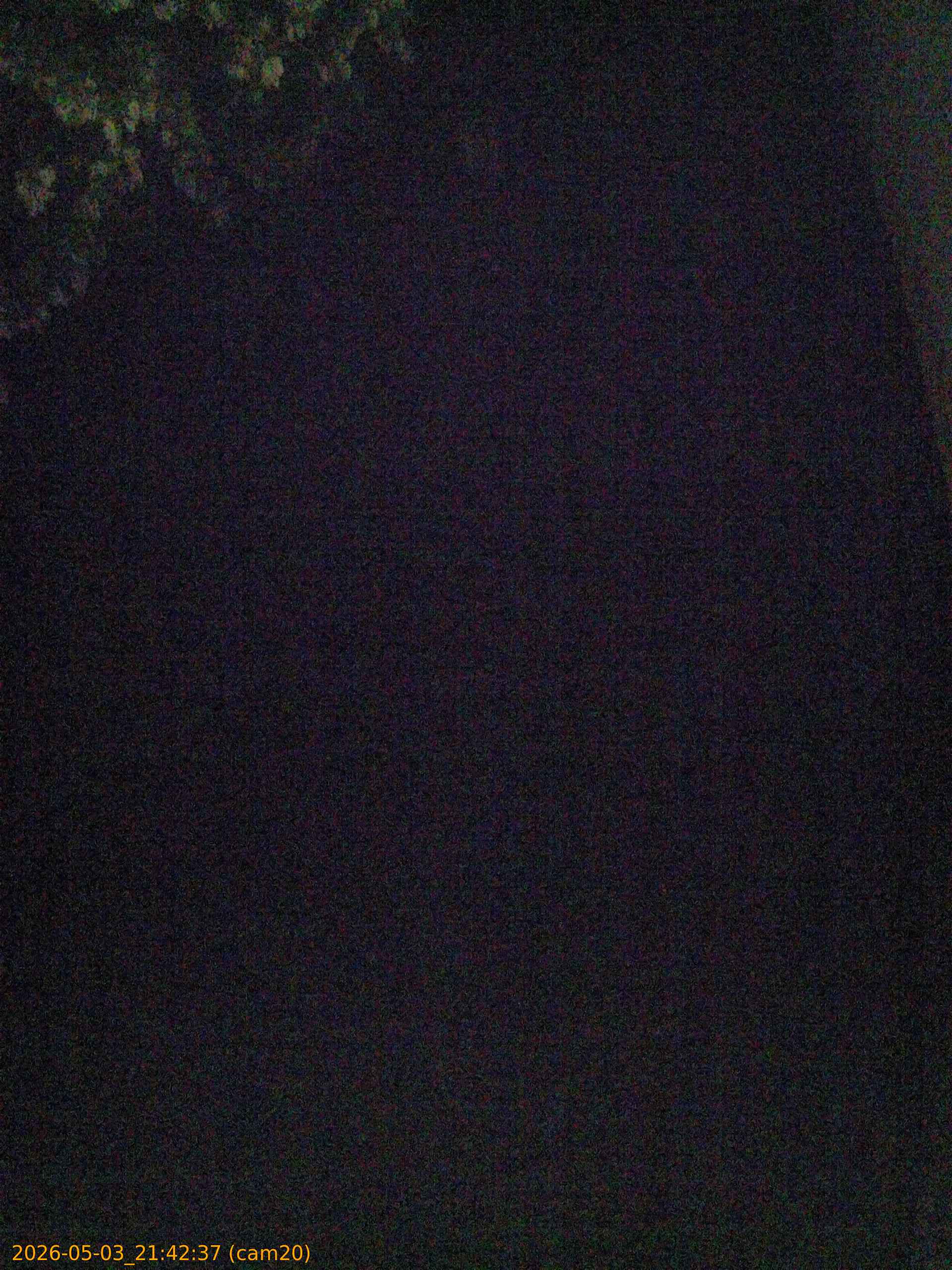 20260503214237