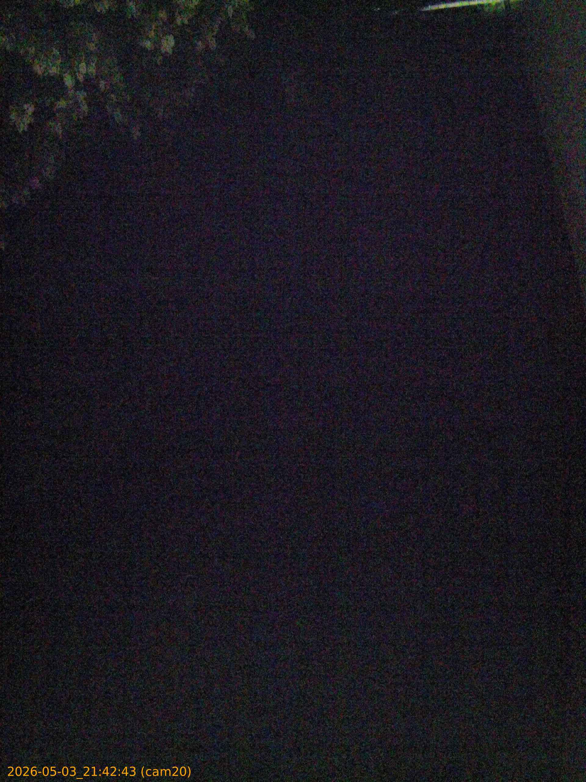 20260503214243