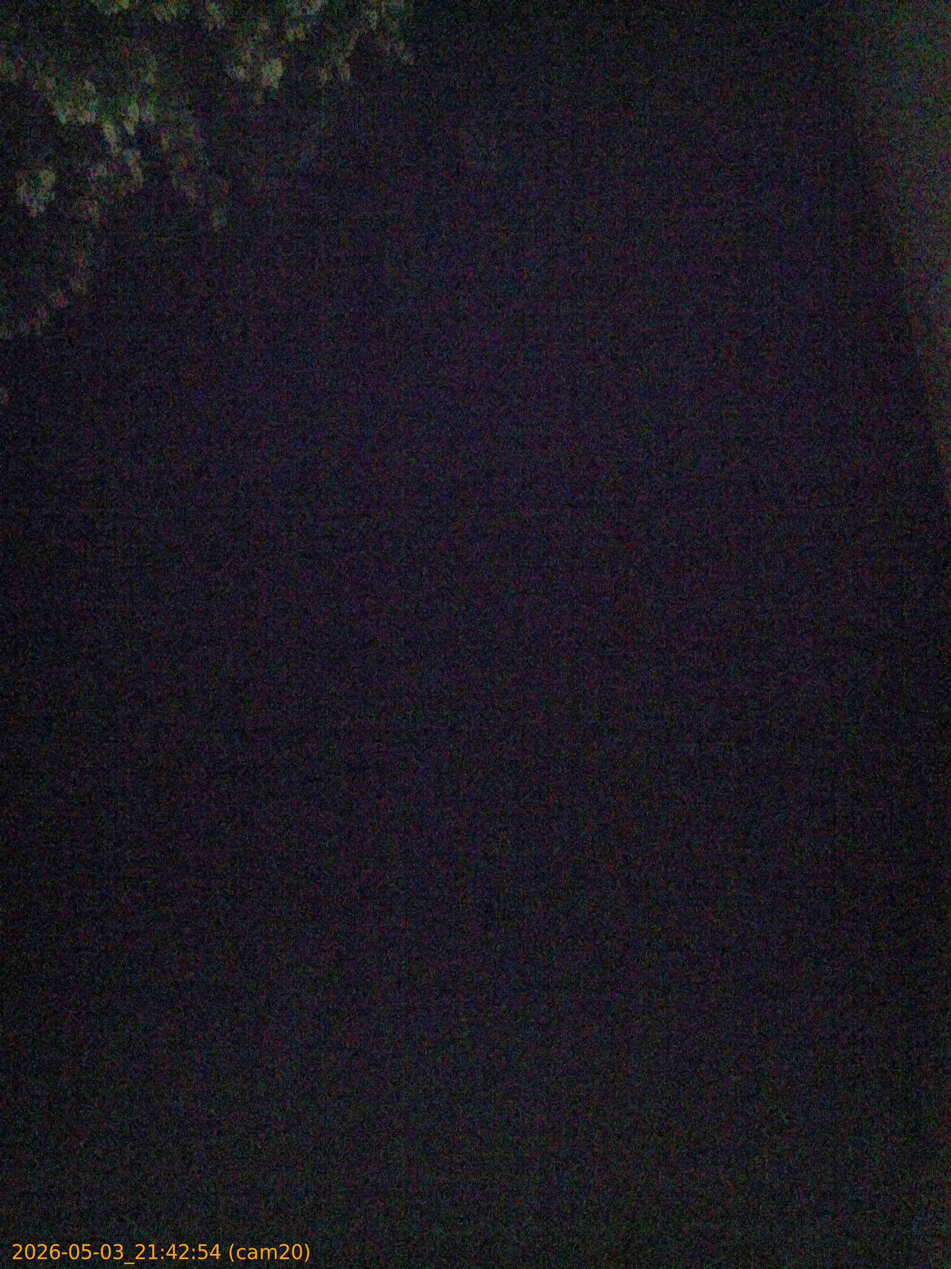 20260503214254