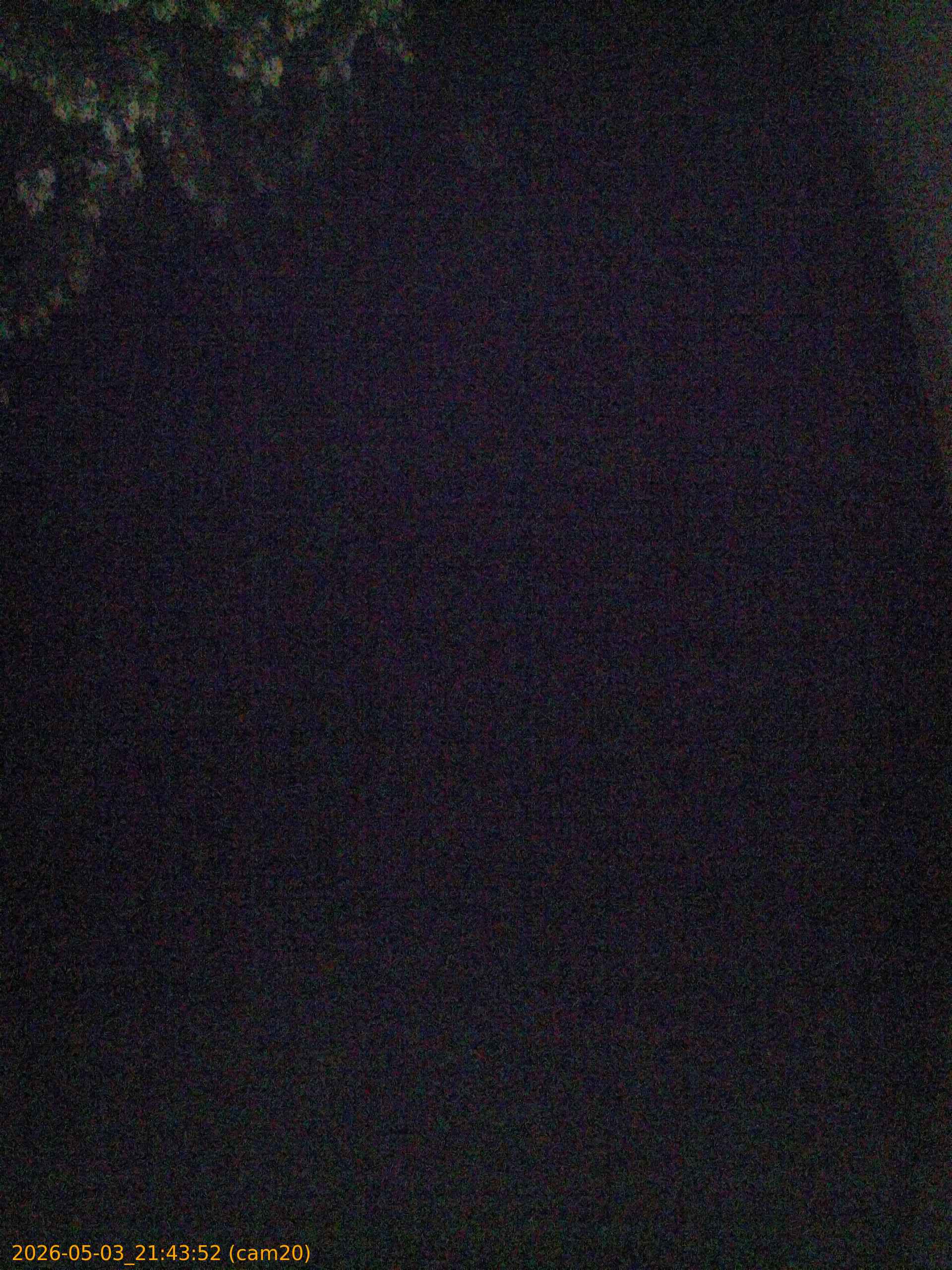 20260503214352