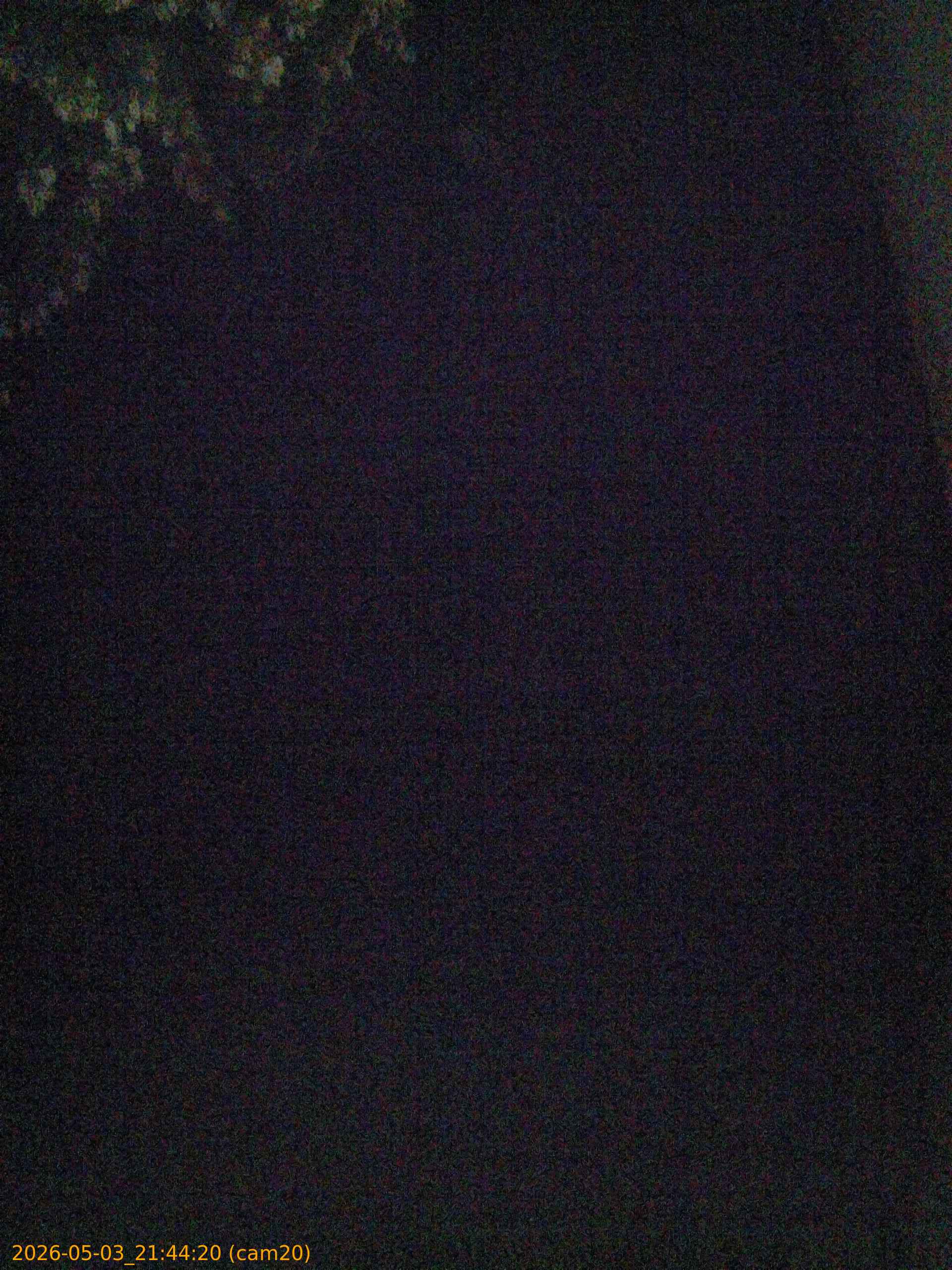 20260503214420