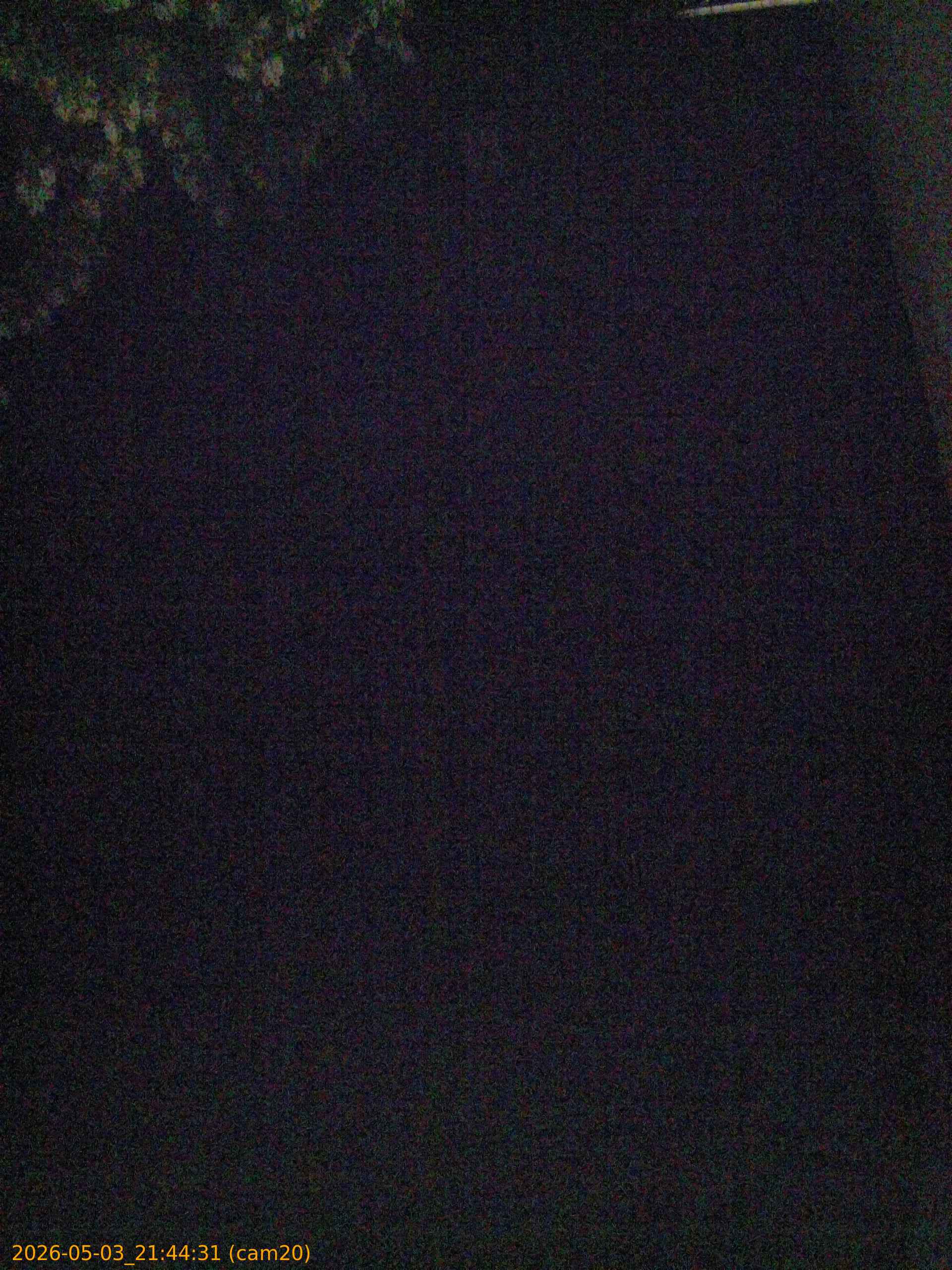 20260503214431