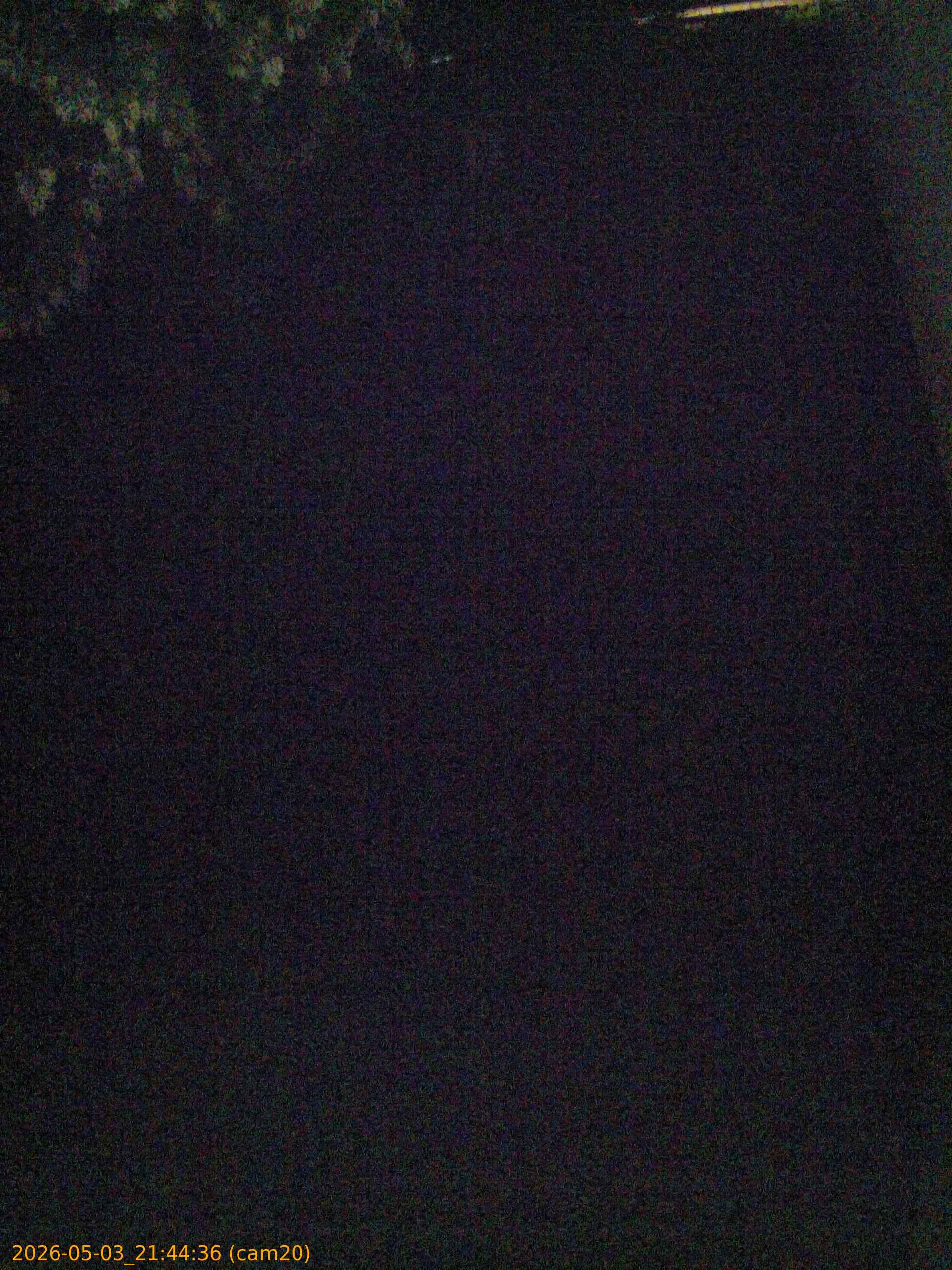 20260503214436