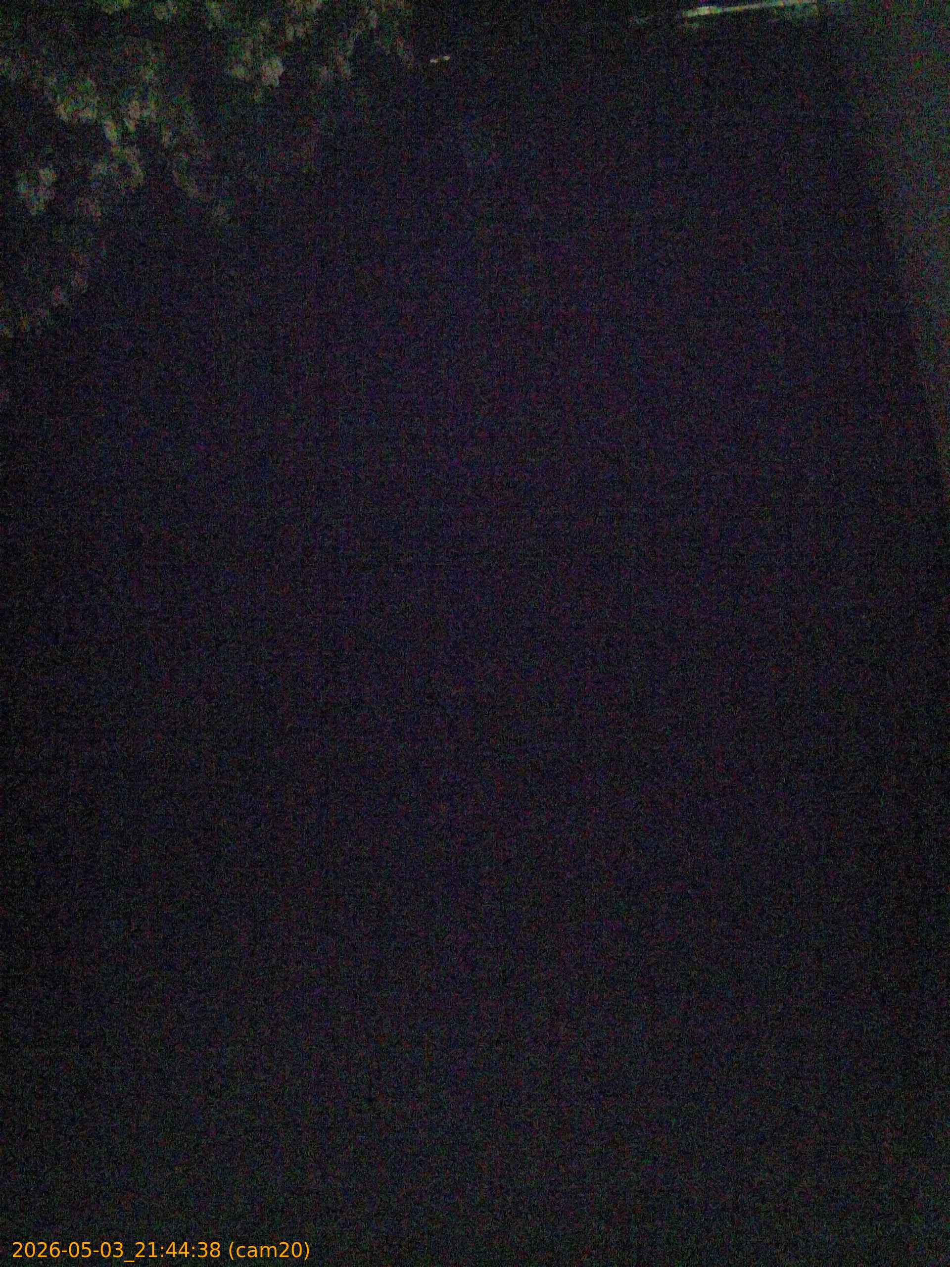 20260503214438