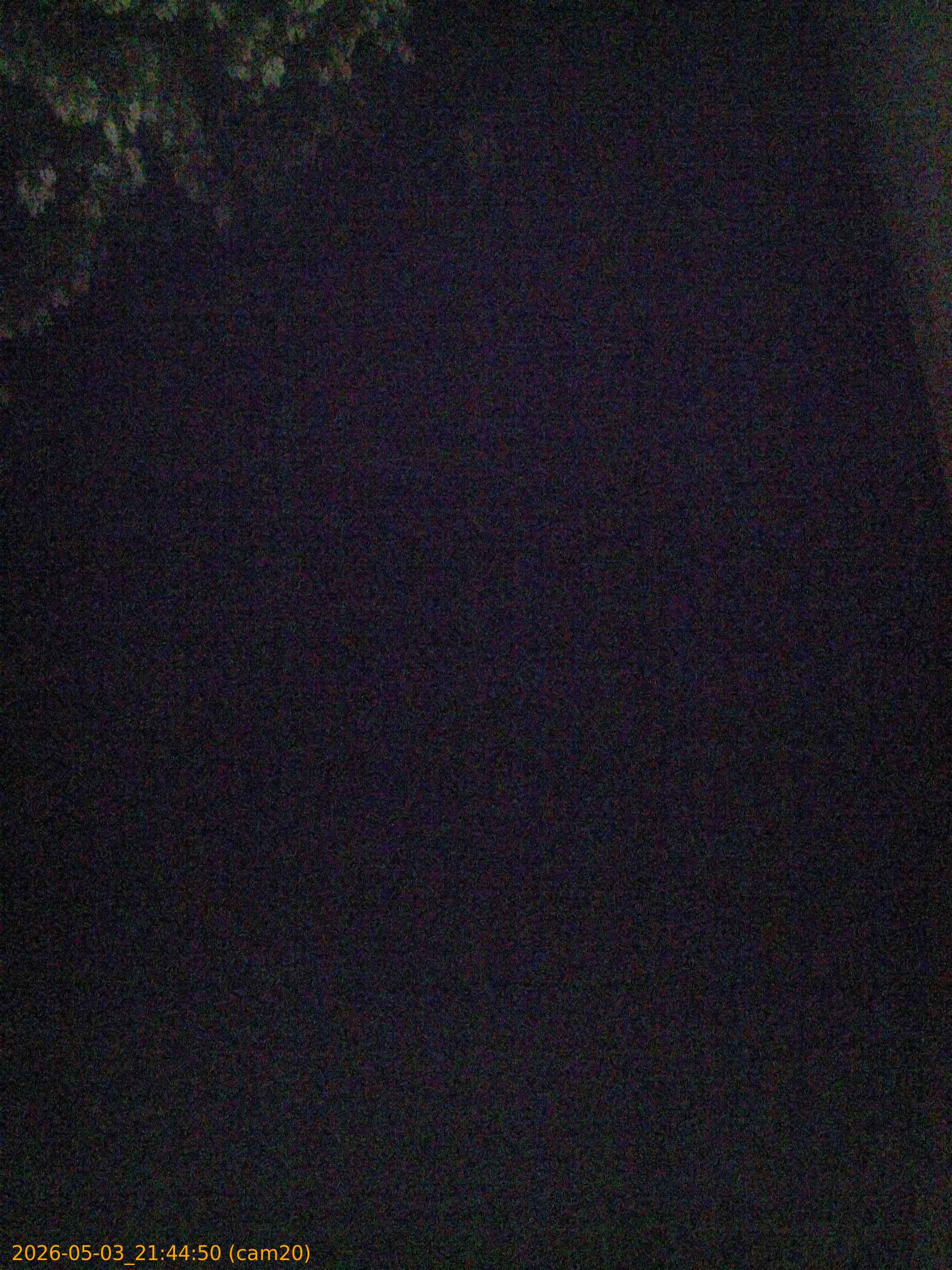 20260503214450