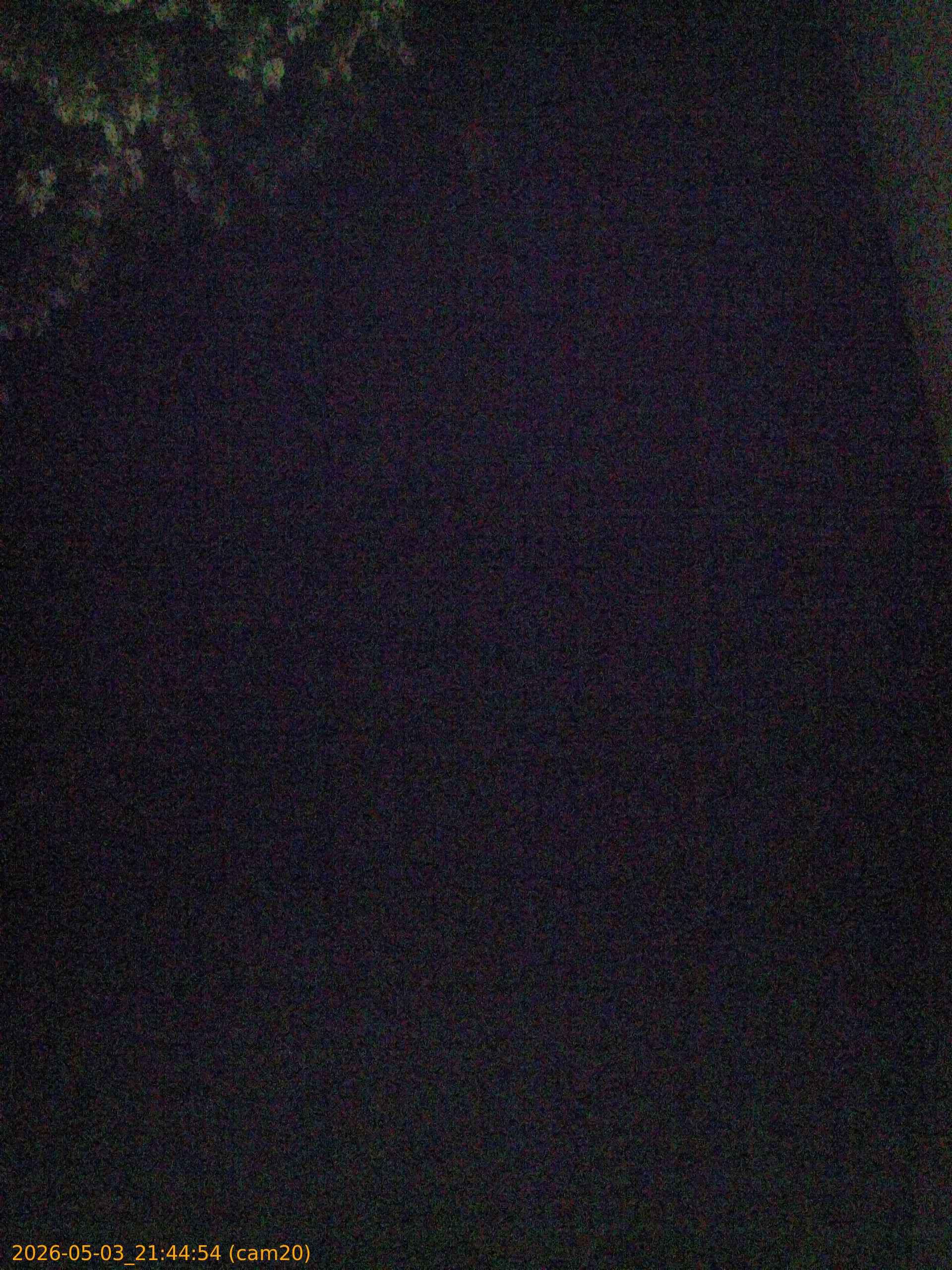 20260503214454