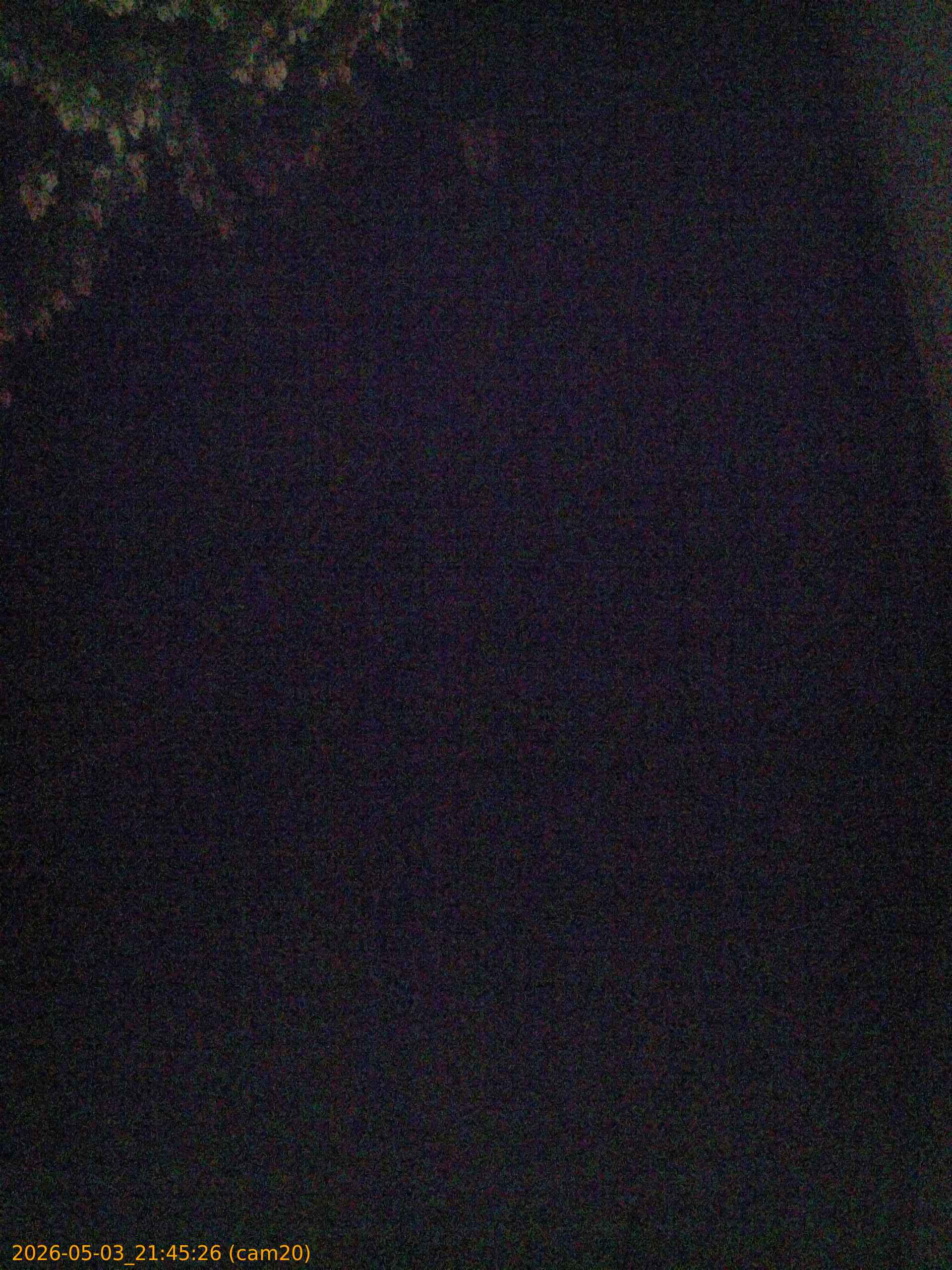 20260503214526