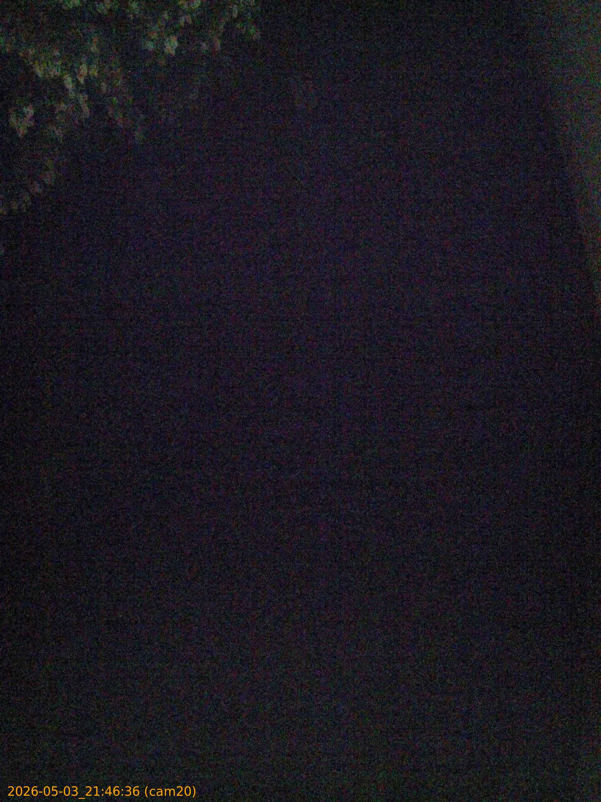 20260503214636