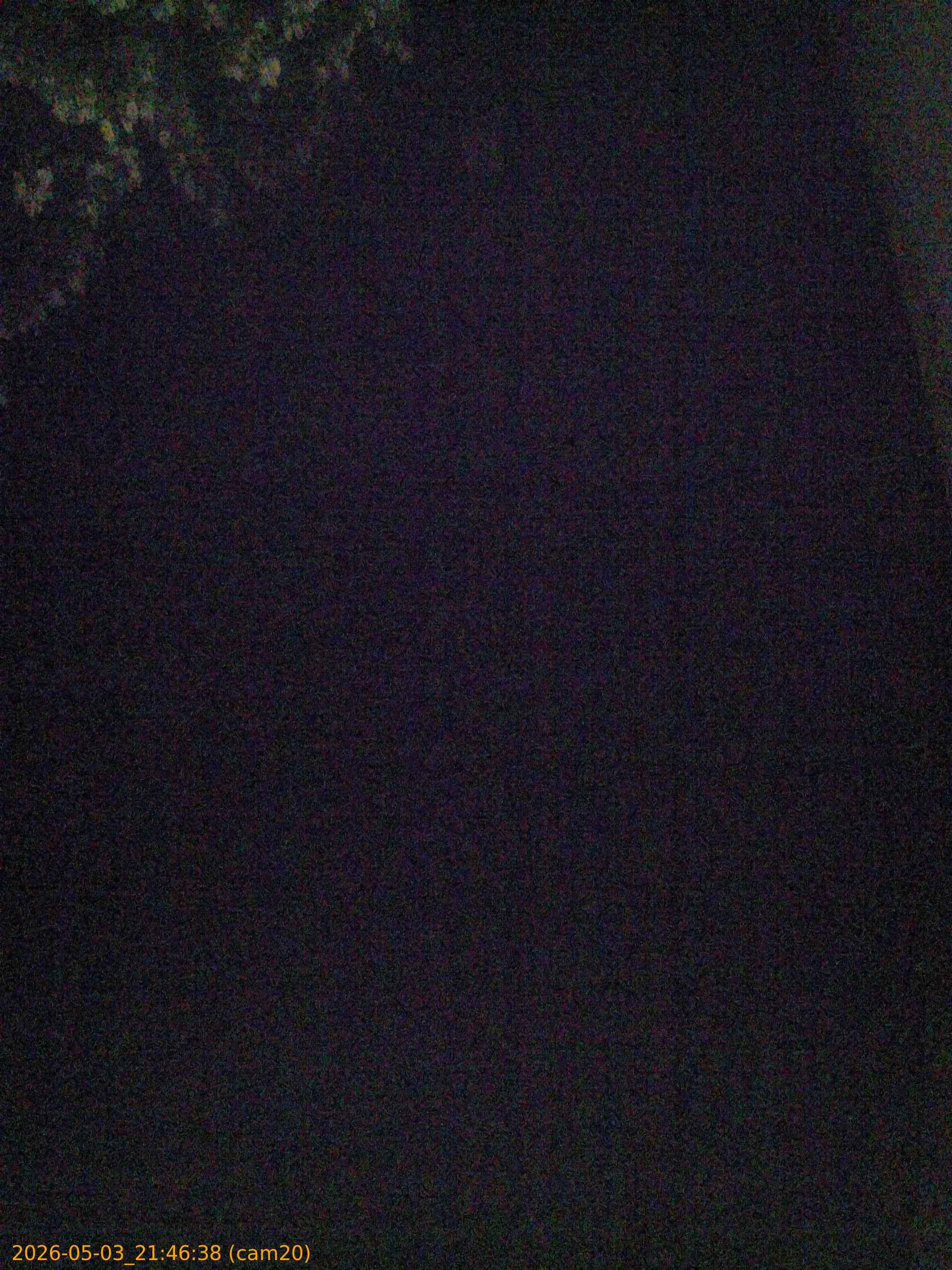20260503214638