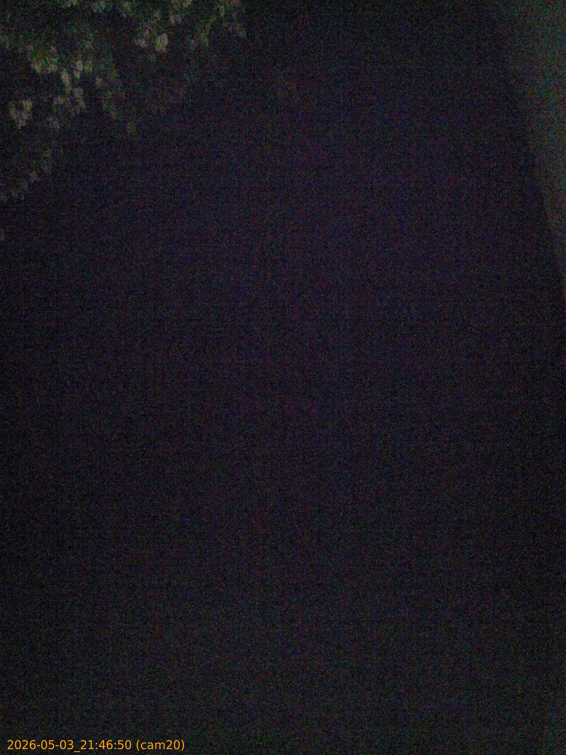 20260503214650