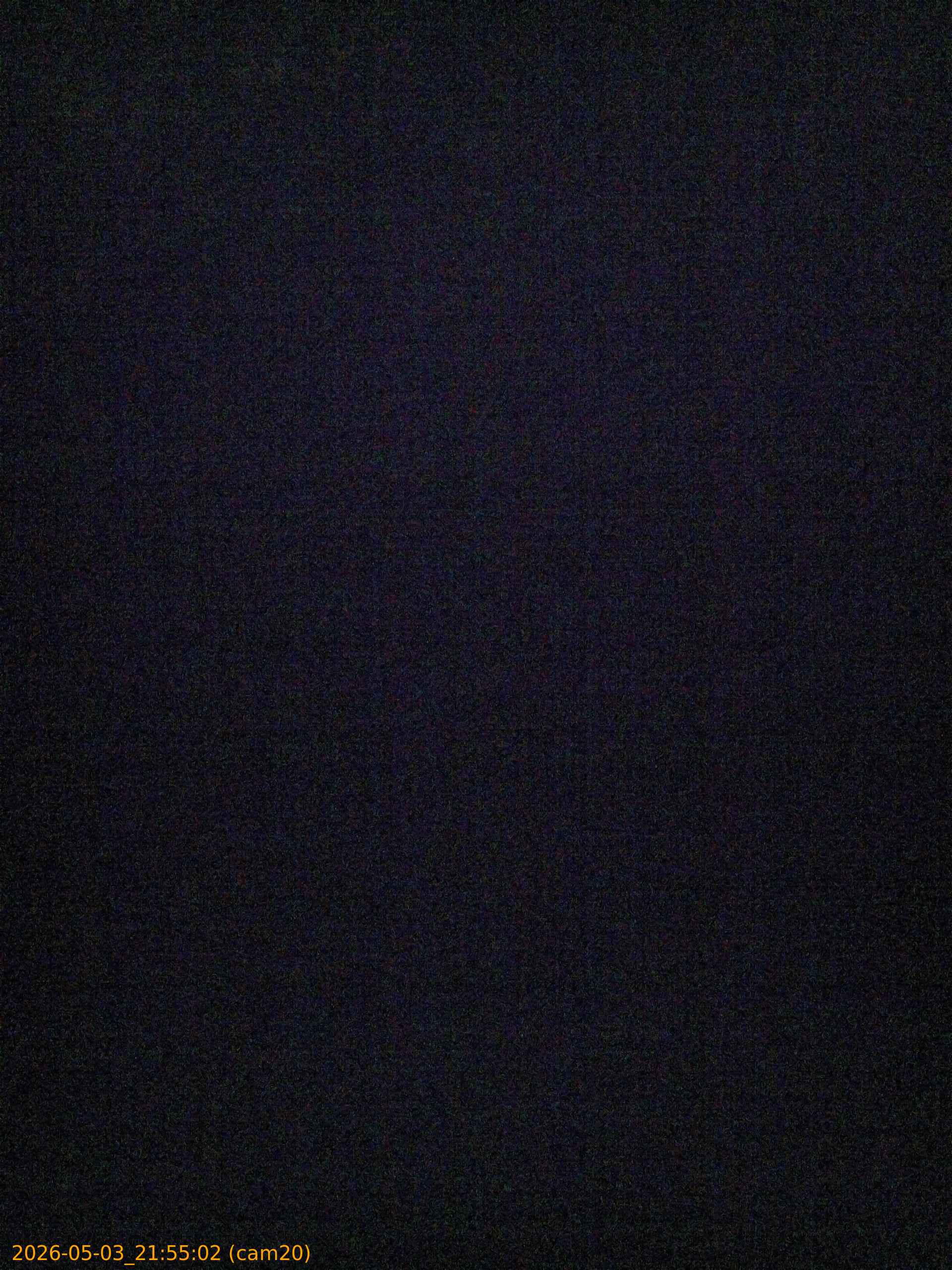 20260503215502