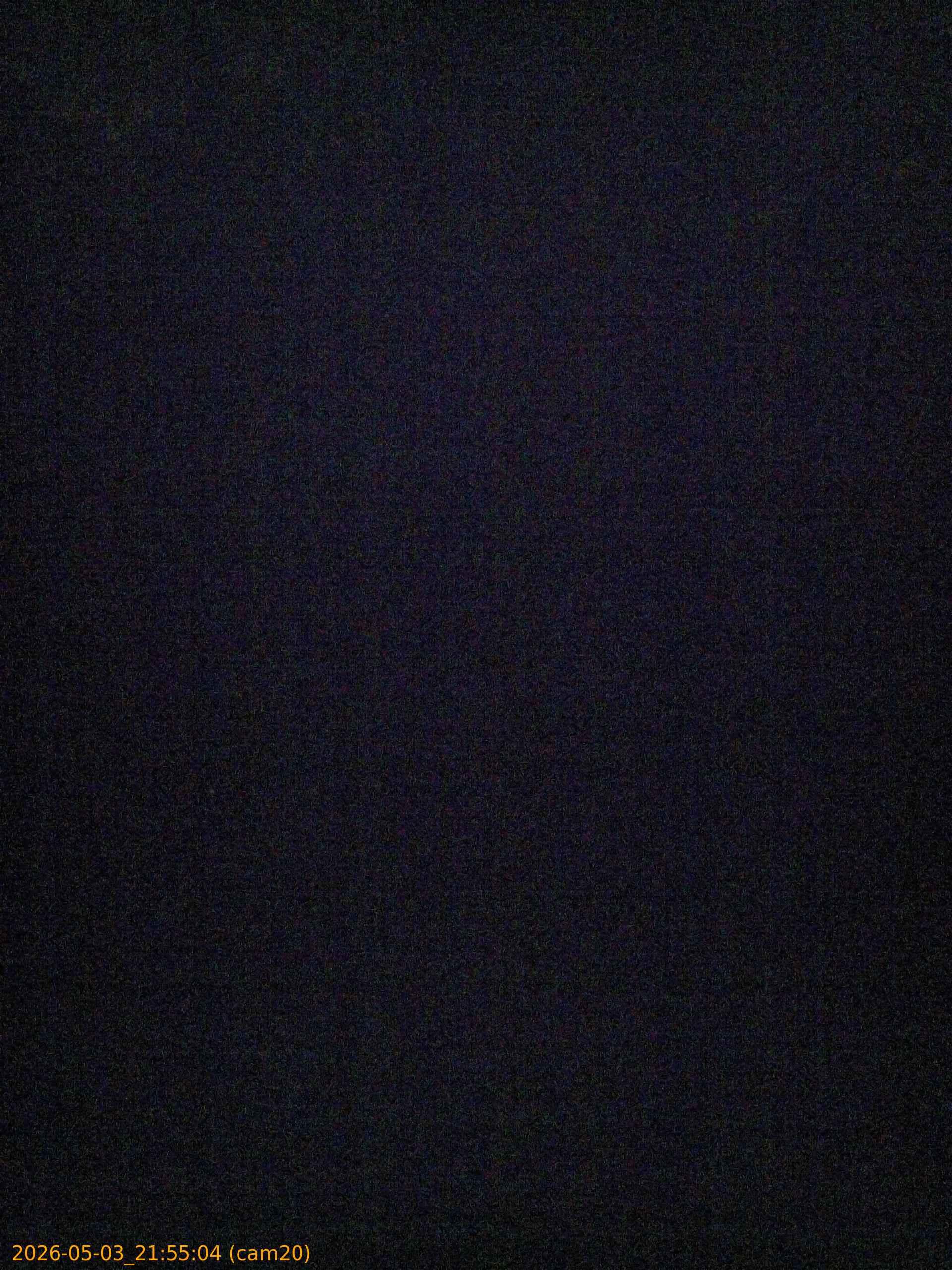 20260503215504