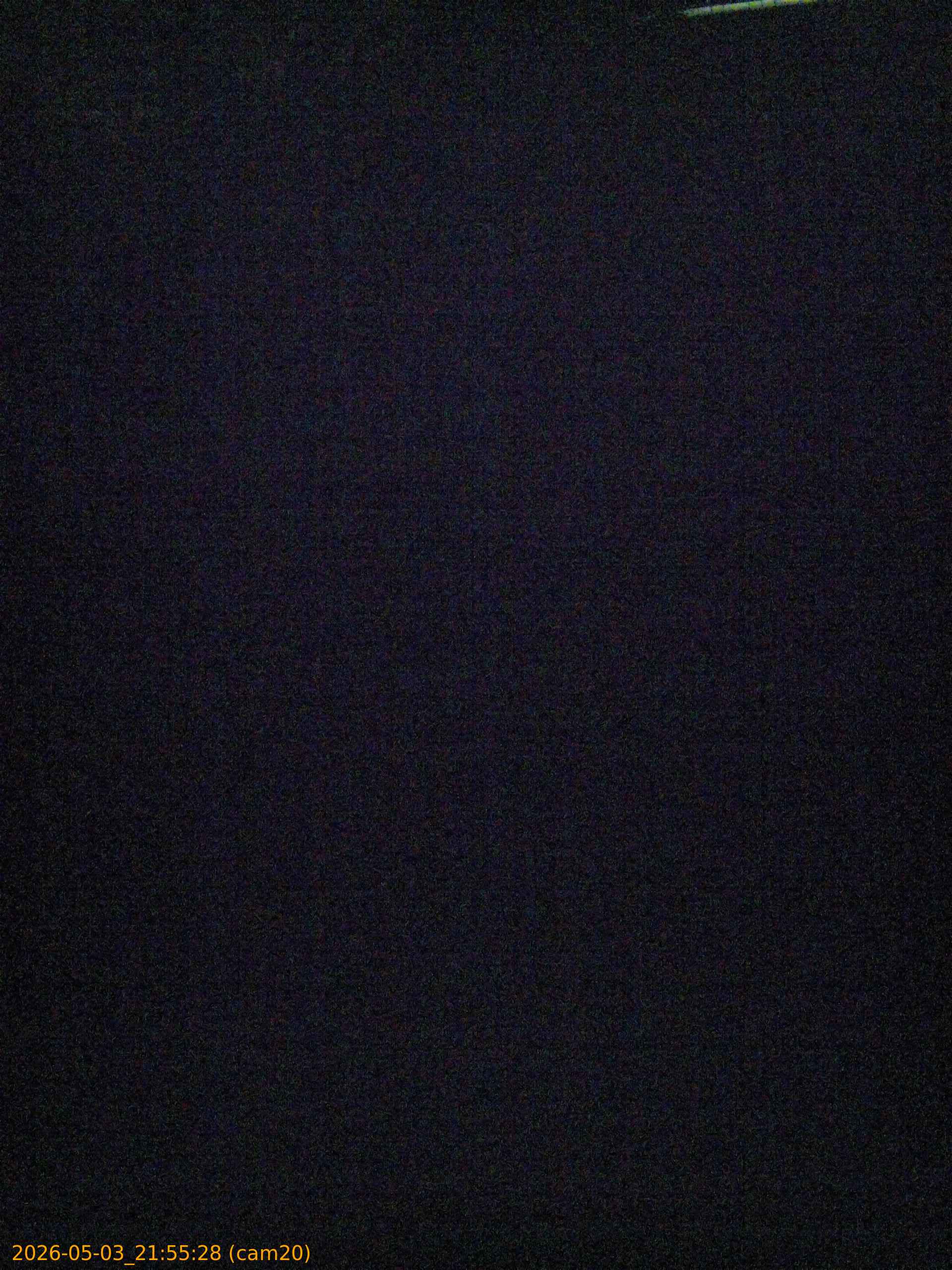 20260503215528
