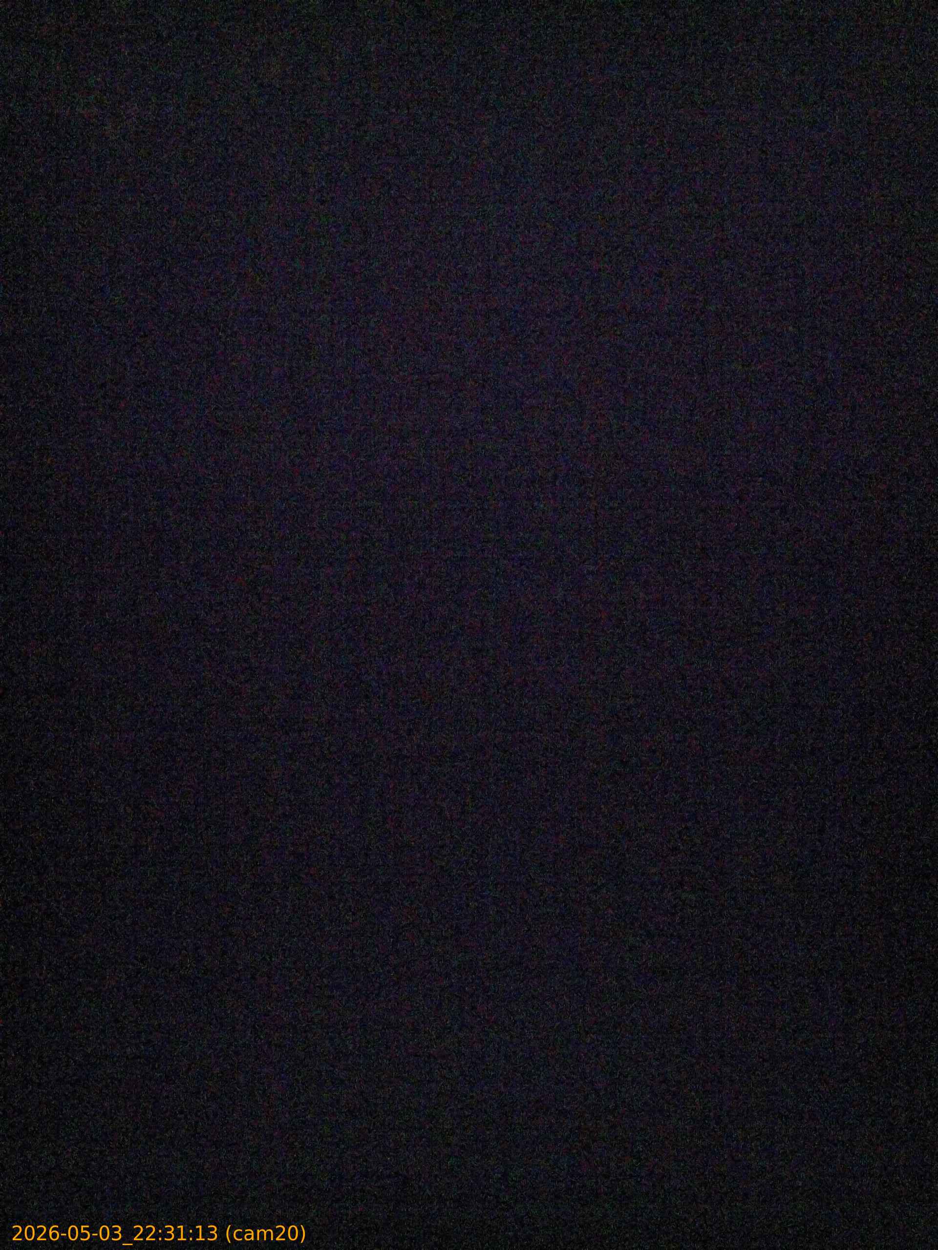 20260503223113