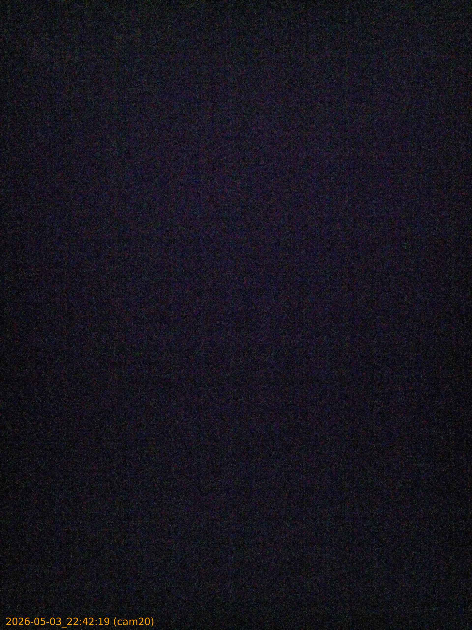 20260503224219