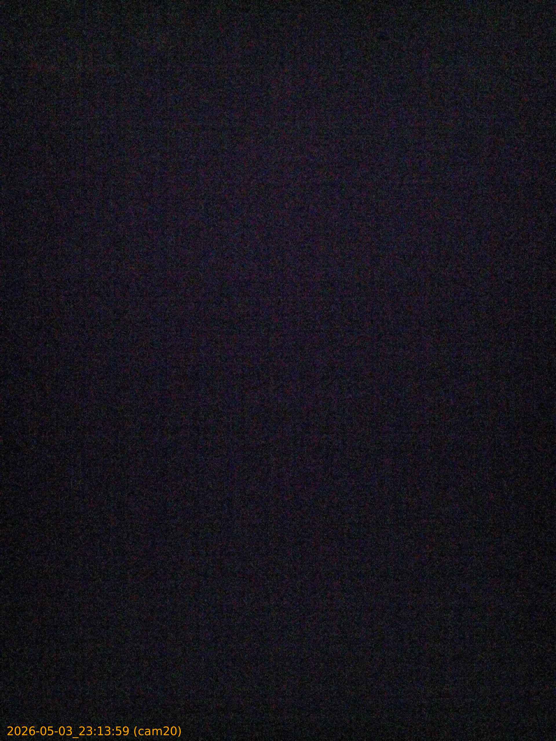 202605032313