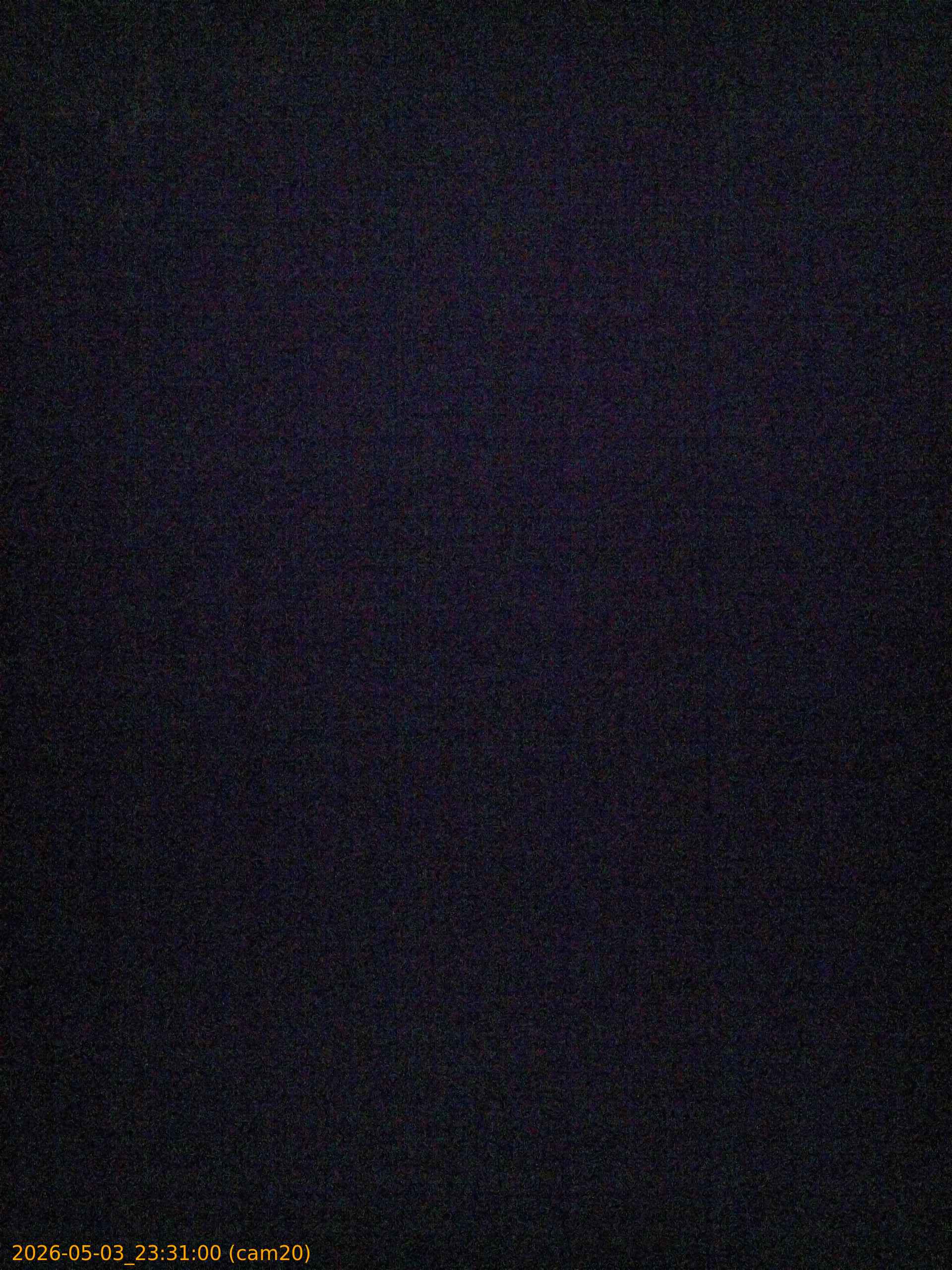 20260503233100