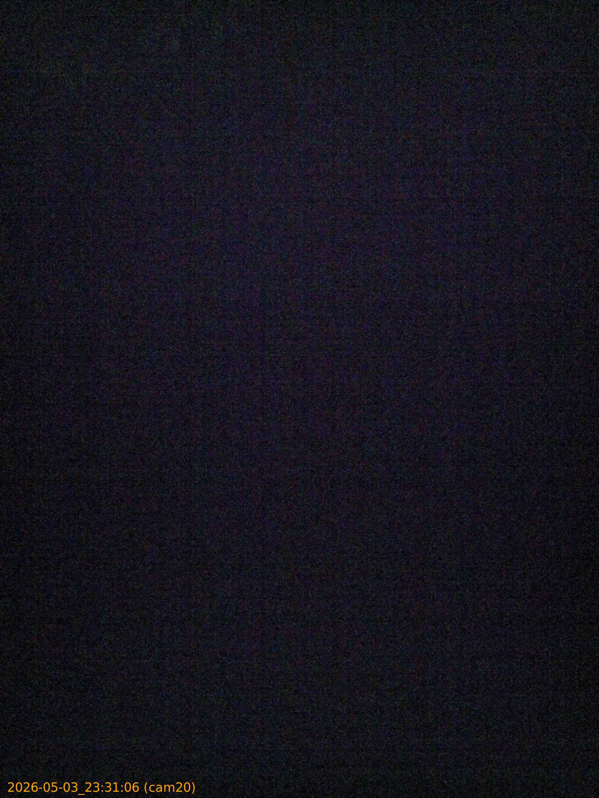 20260503233106