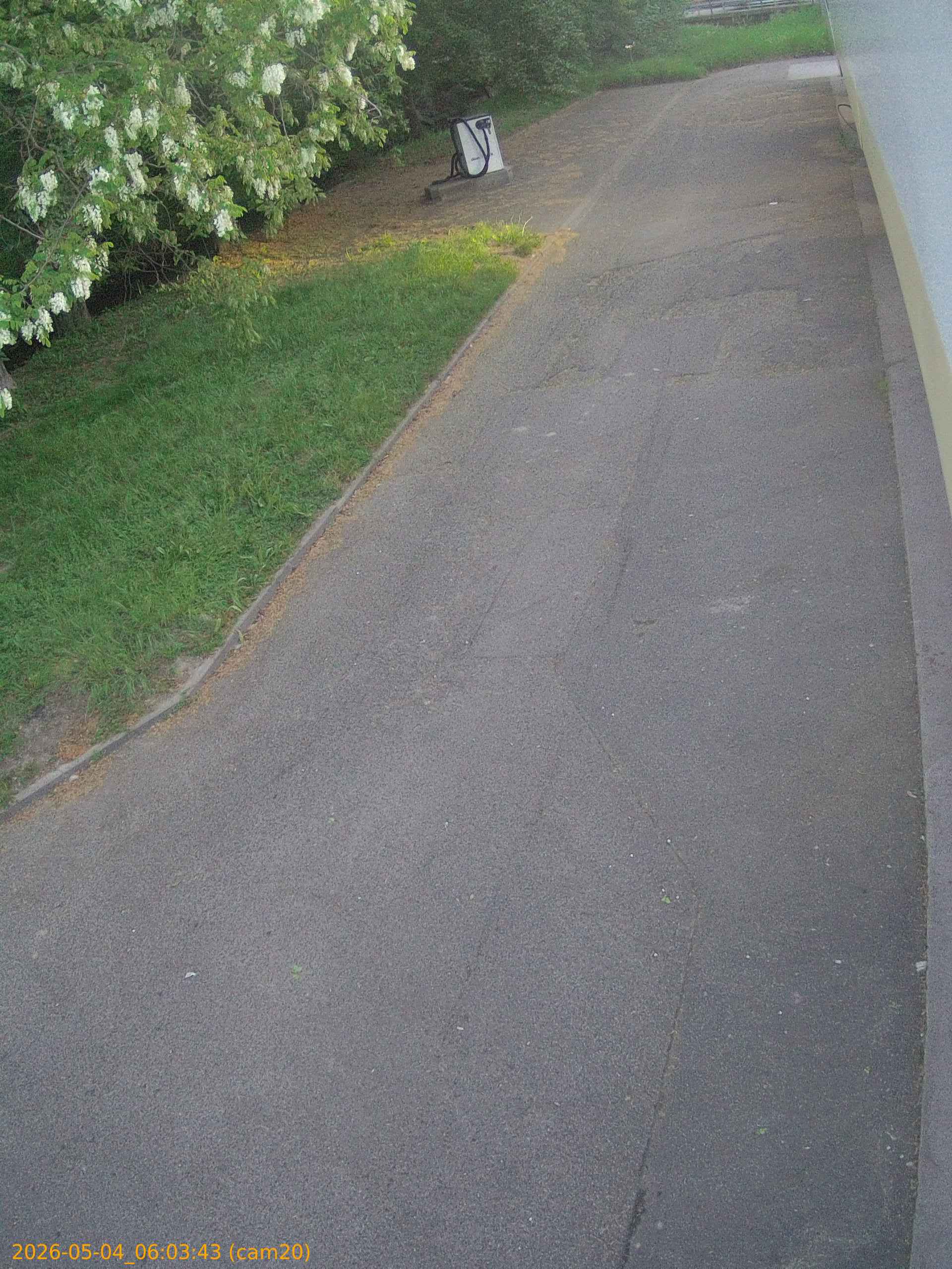 20260504060343