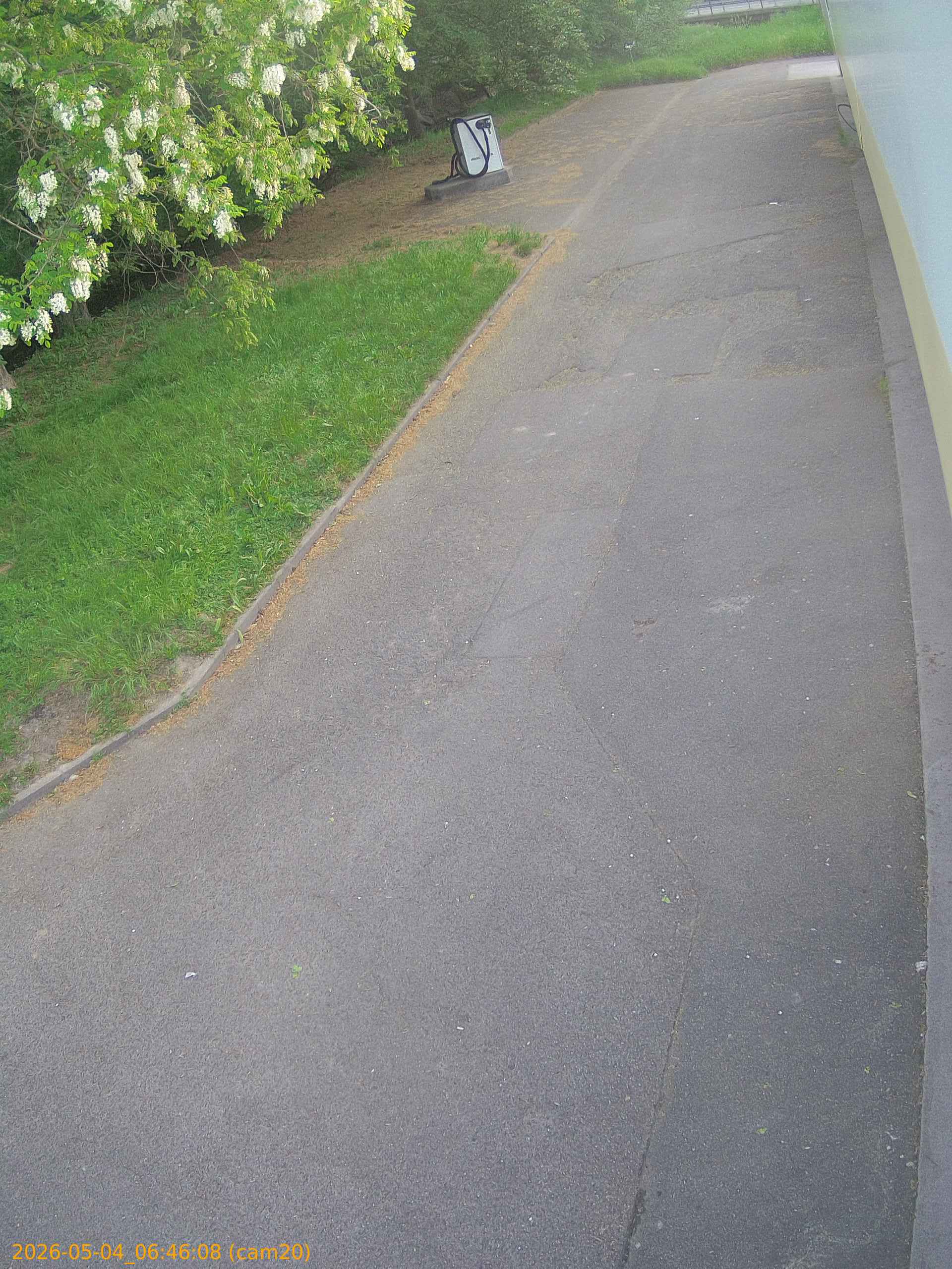 20260504064608