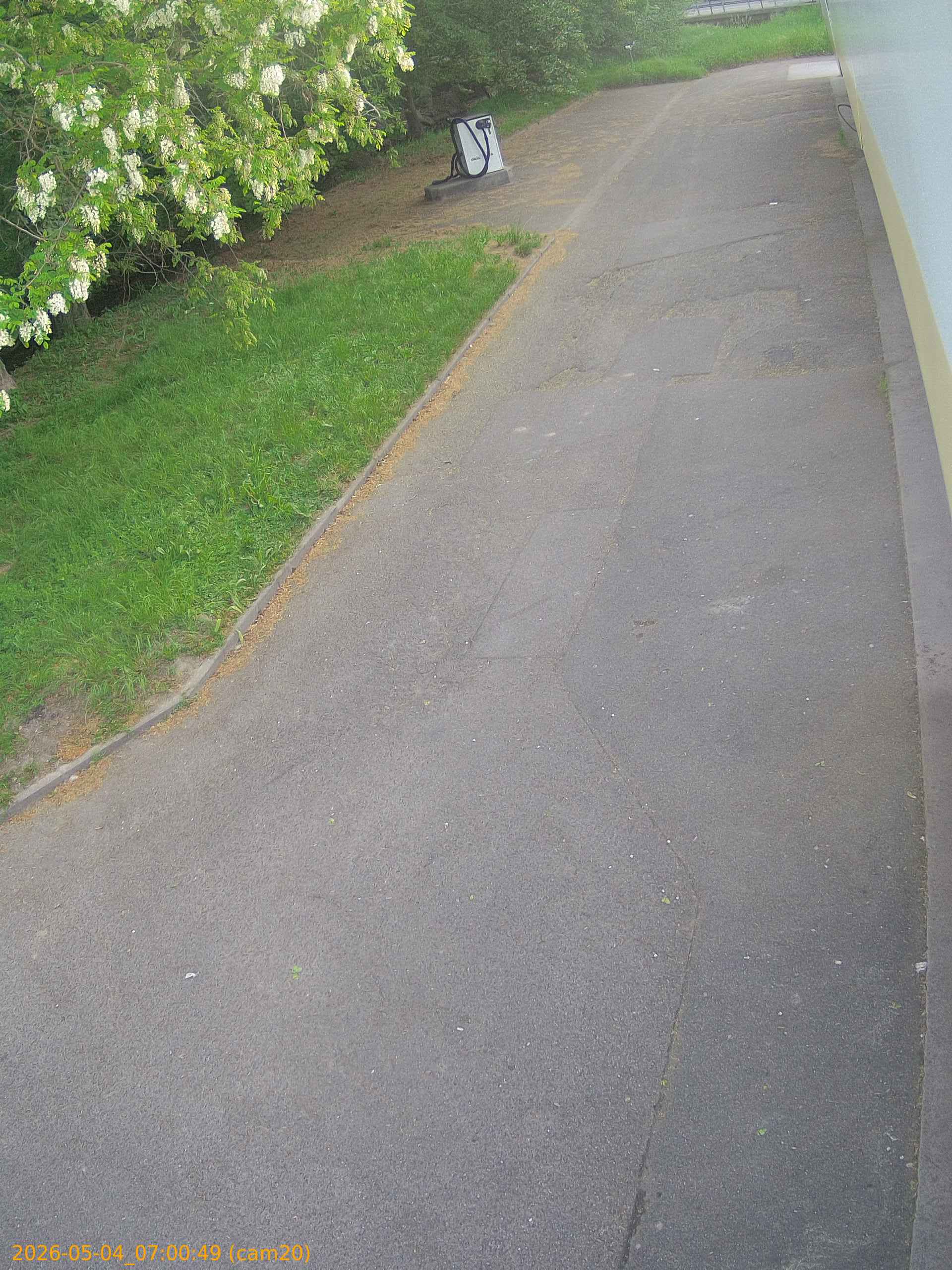 20260504070049
