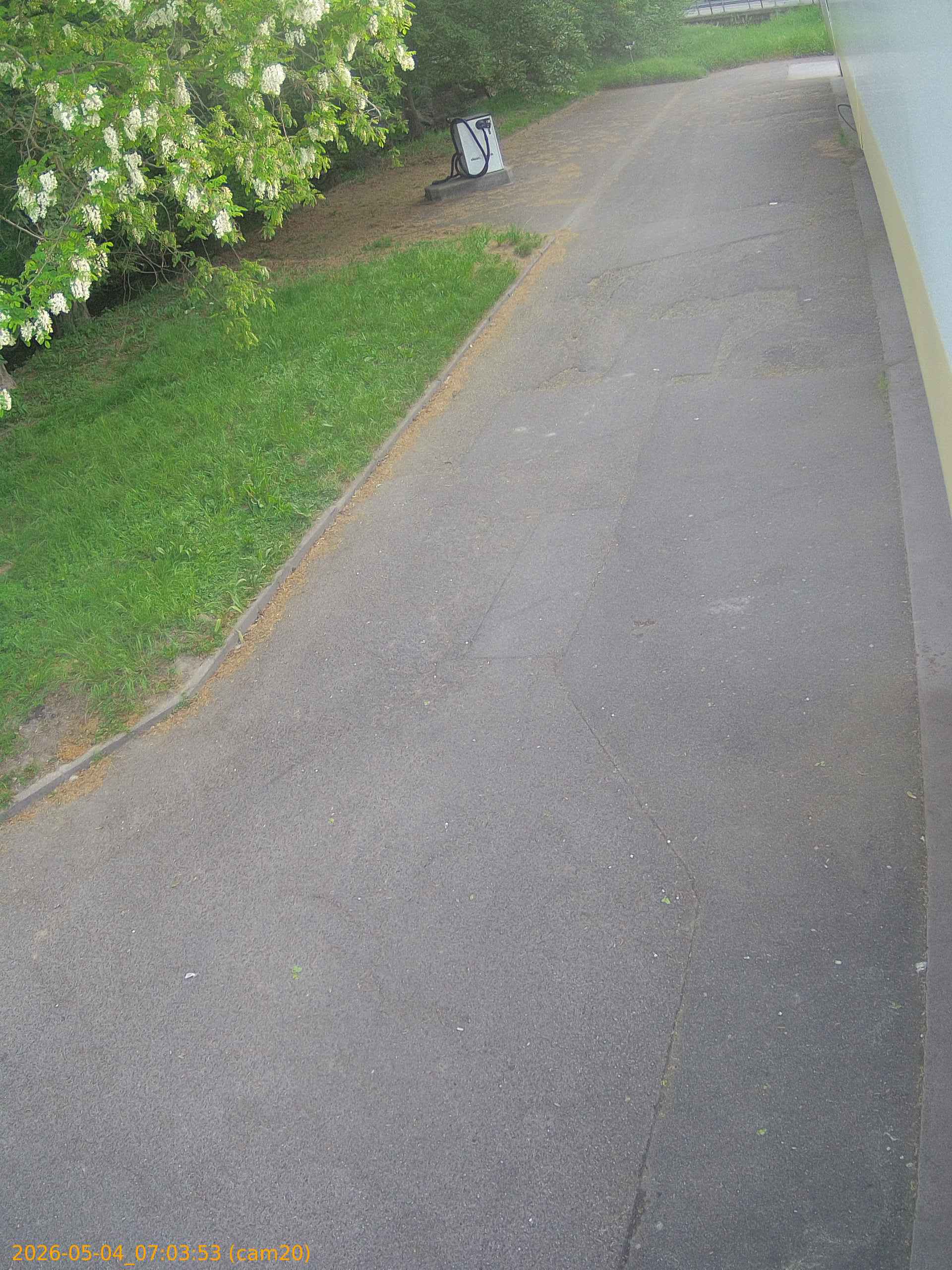 20260504070353