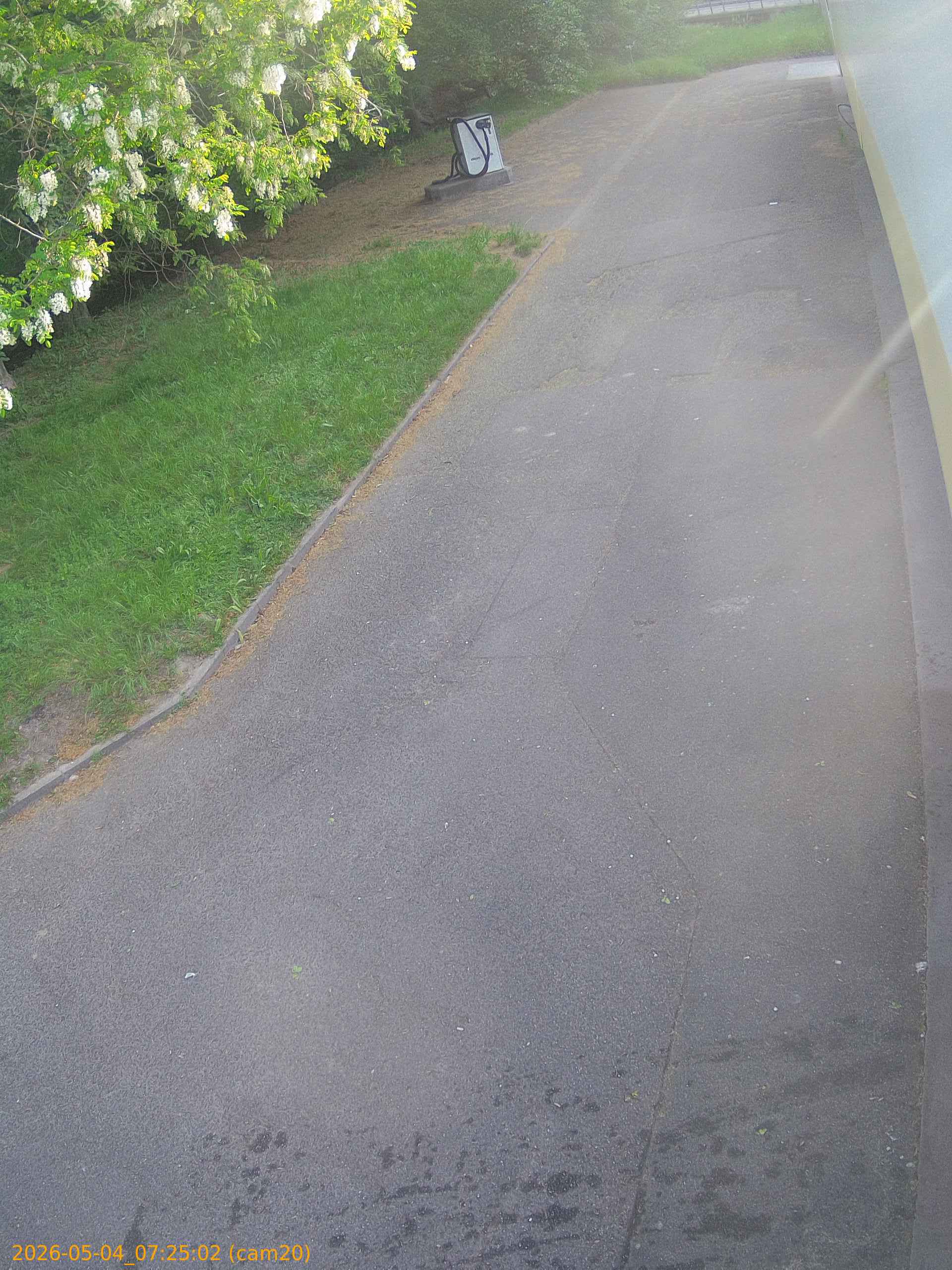 20260504072502