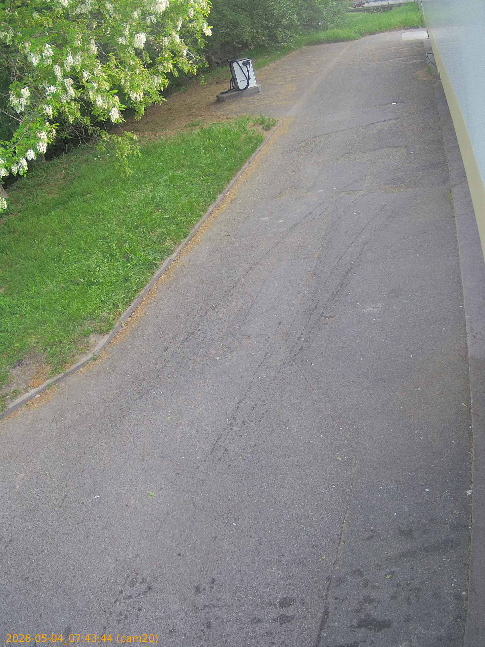20260504074344