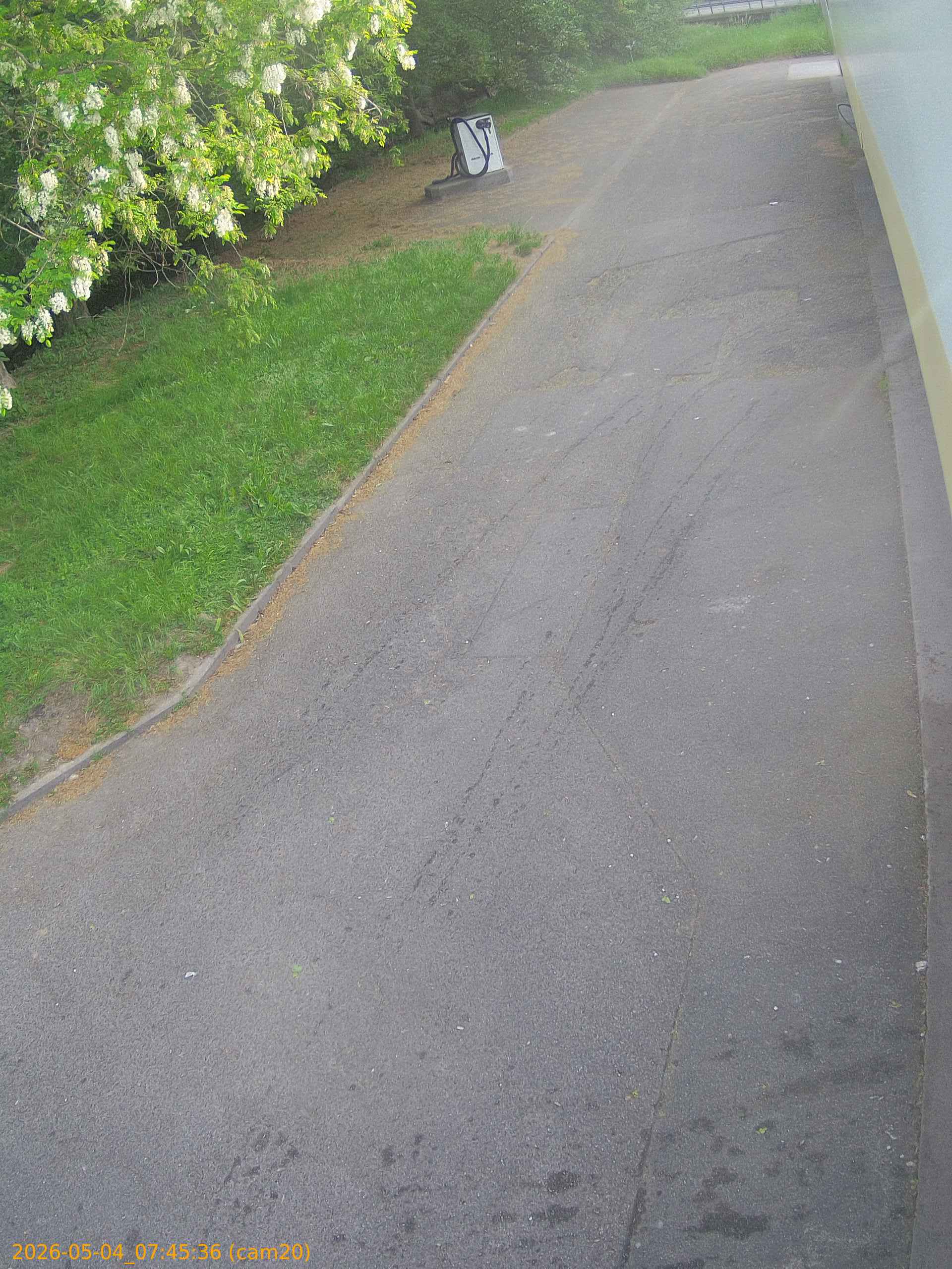 20260504074536