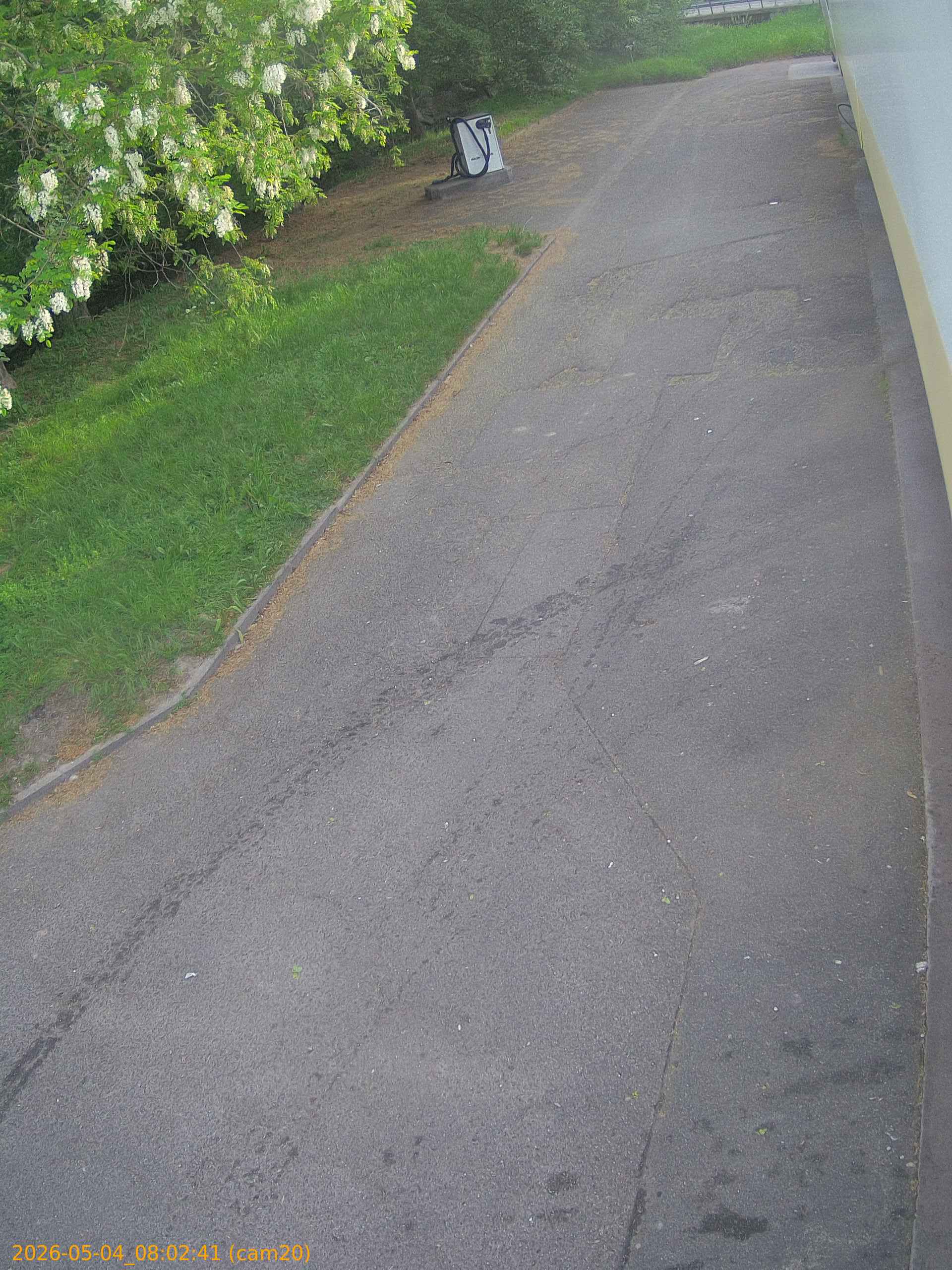20260504080241